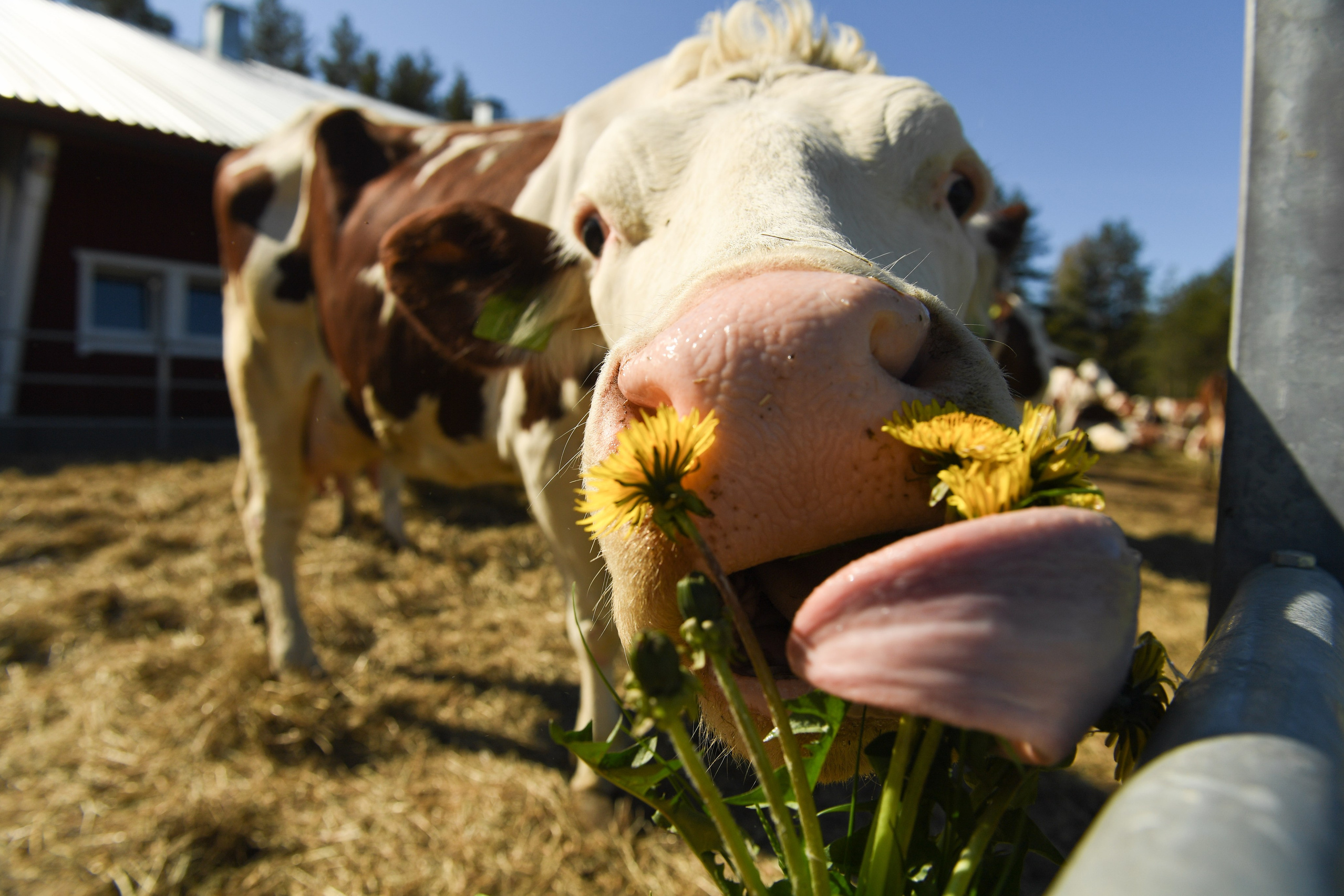 Контакты. Документальный фотограф Сергей Вдовин