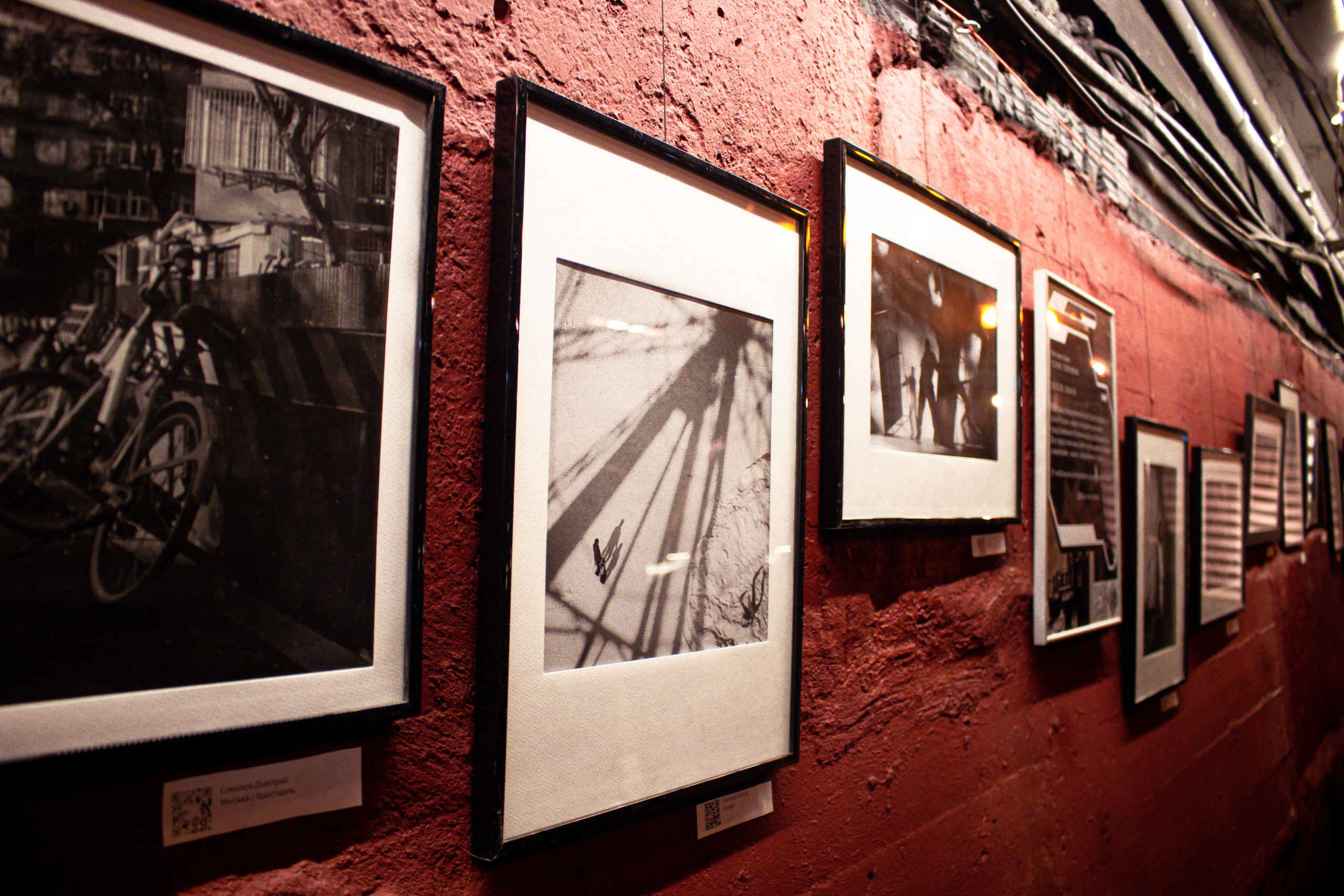 Выставка. Фотограф Никита Медведев