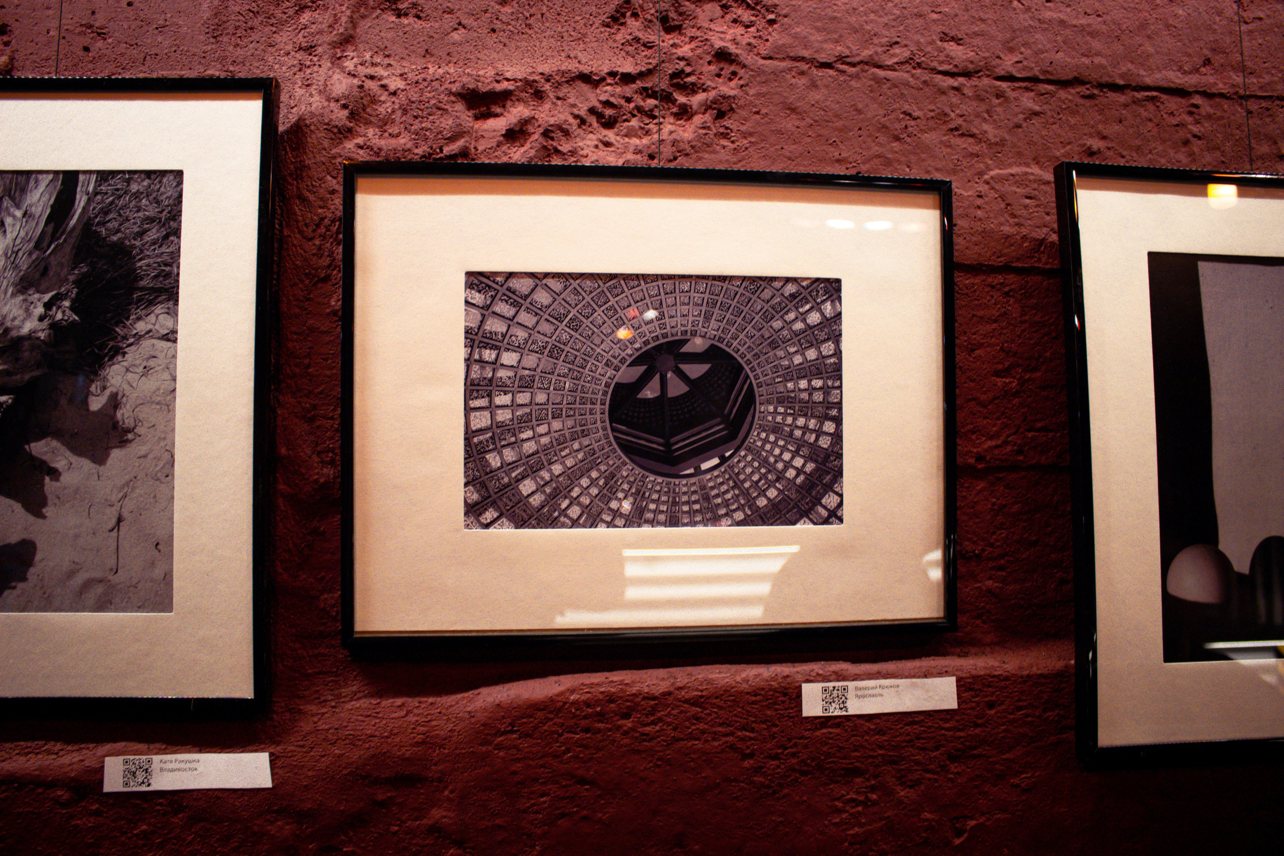 Выставка. Фотограф Никита Медведев