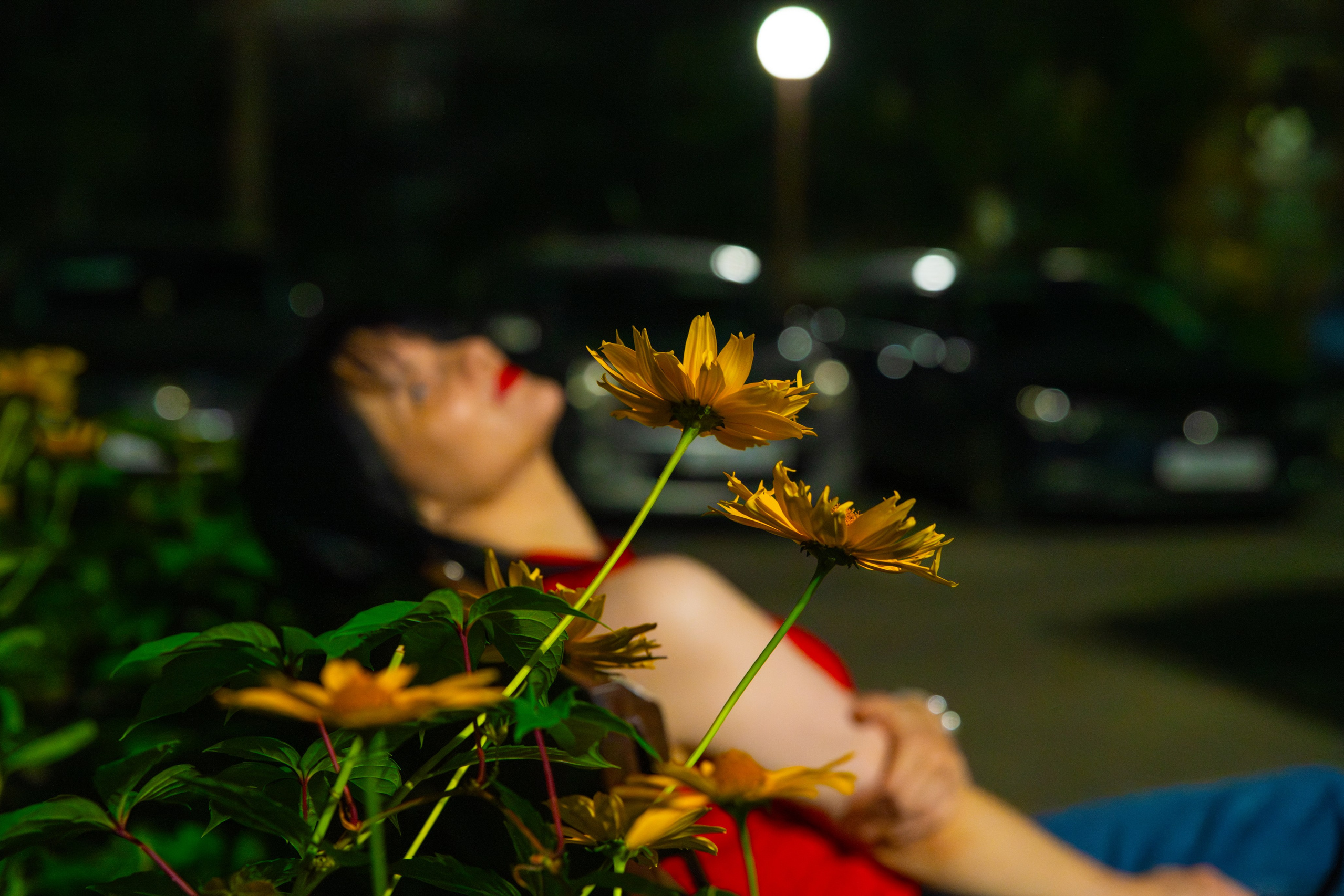 Услуги. Фотограф Брянск