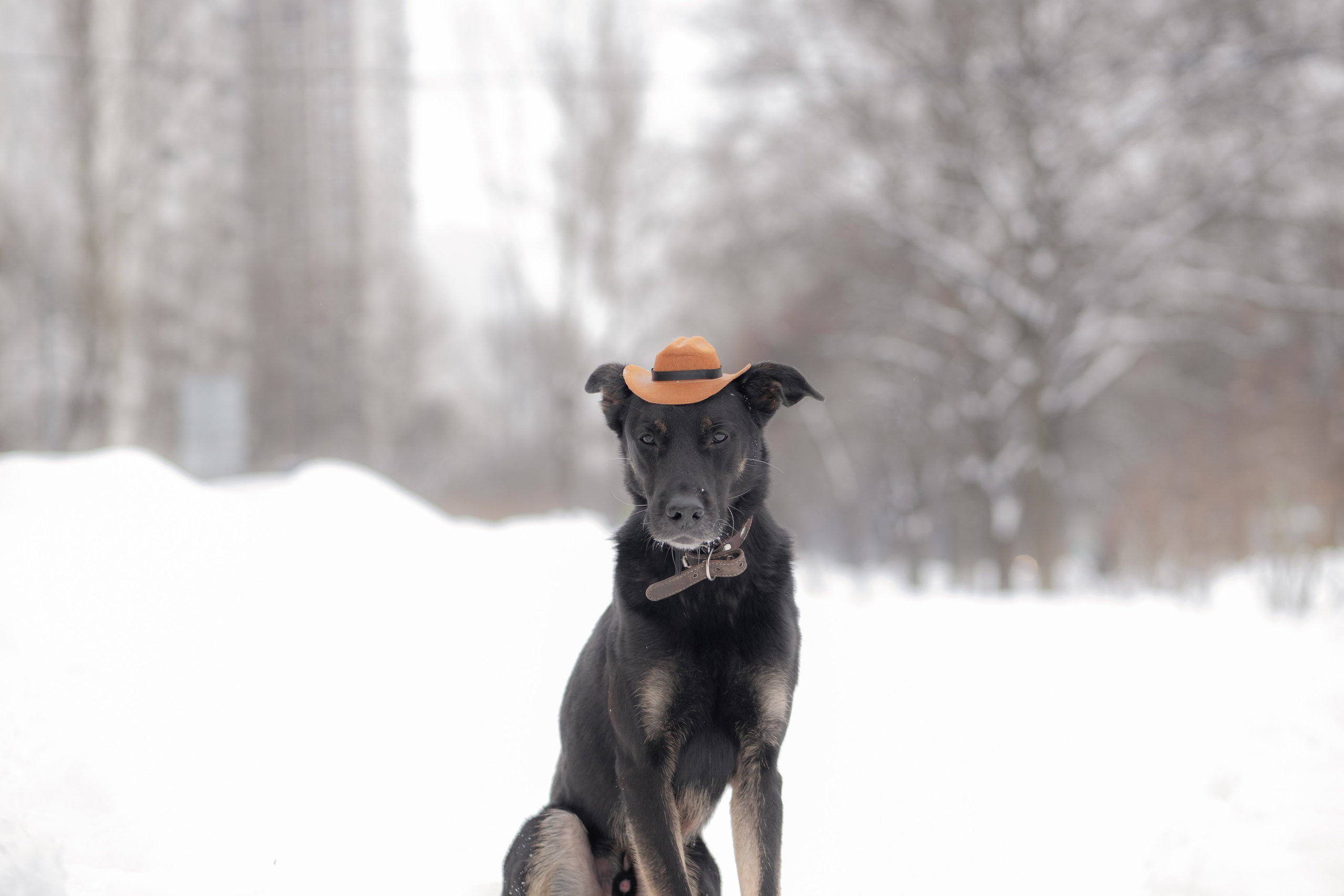 Услуги. Главная