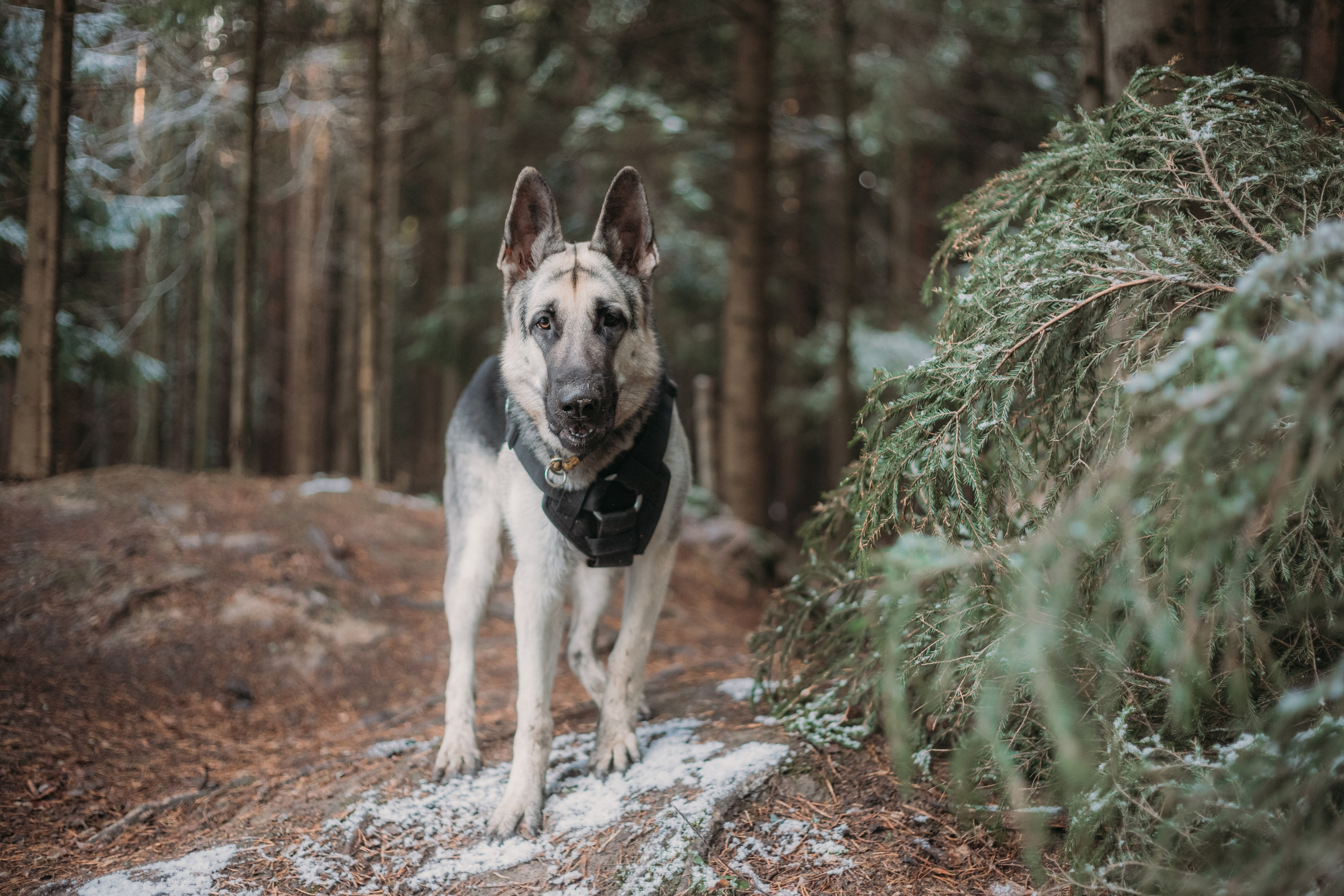 Услуги. Главная