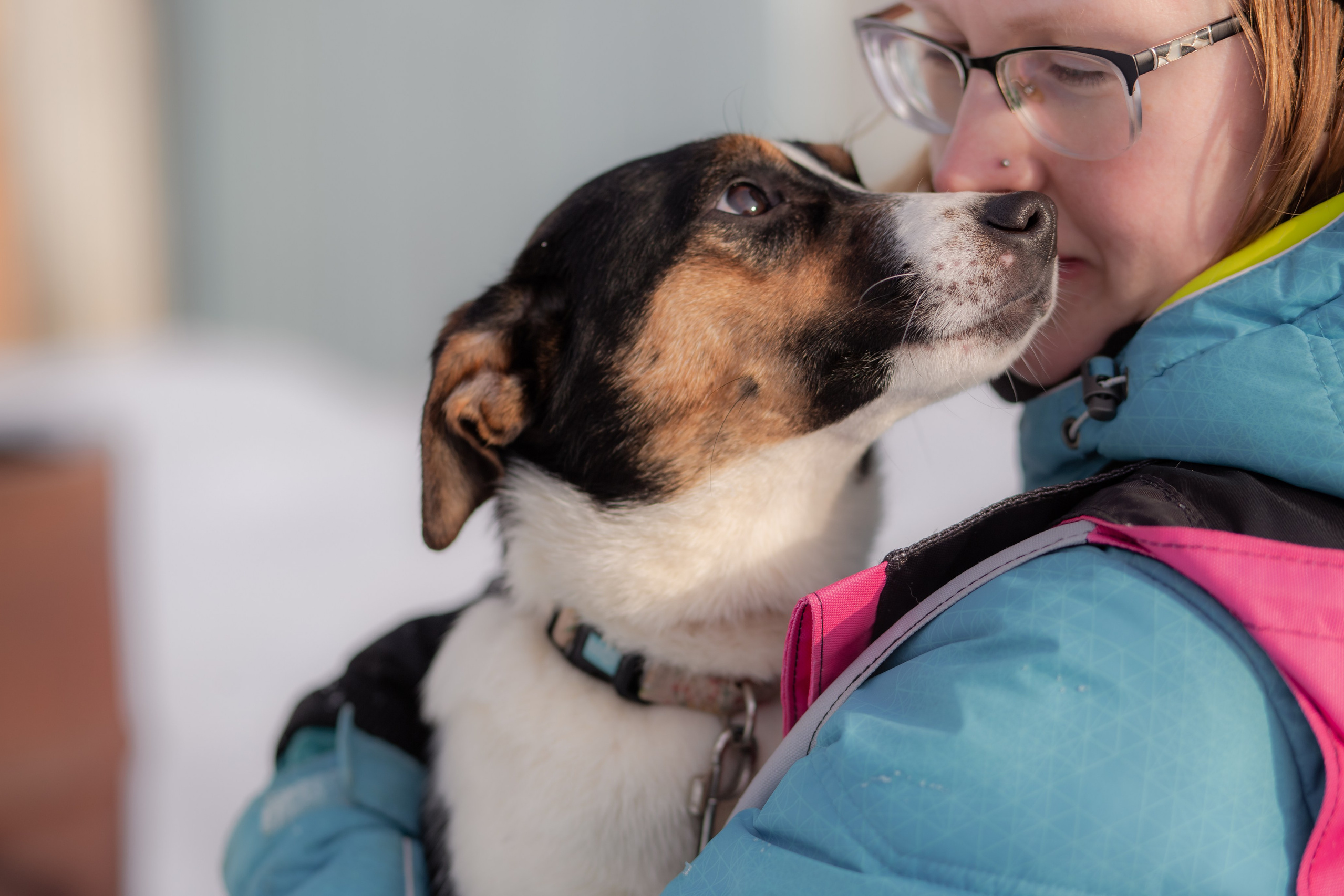 Контакты. Главная