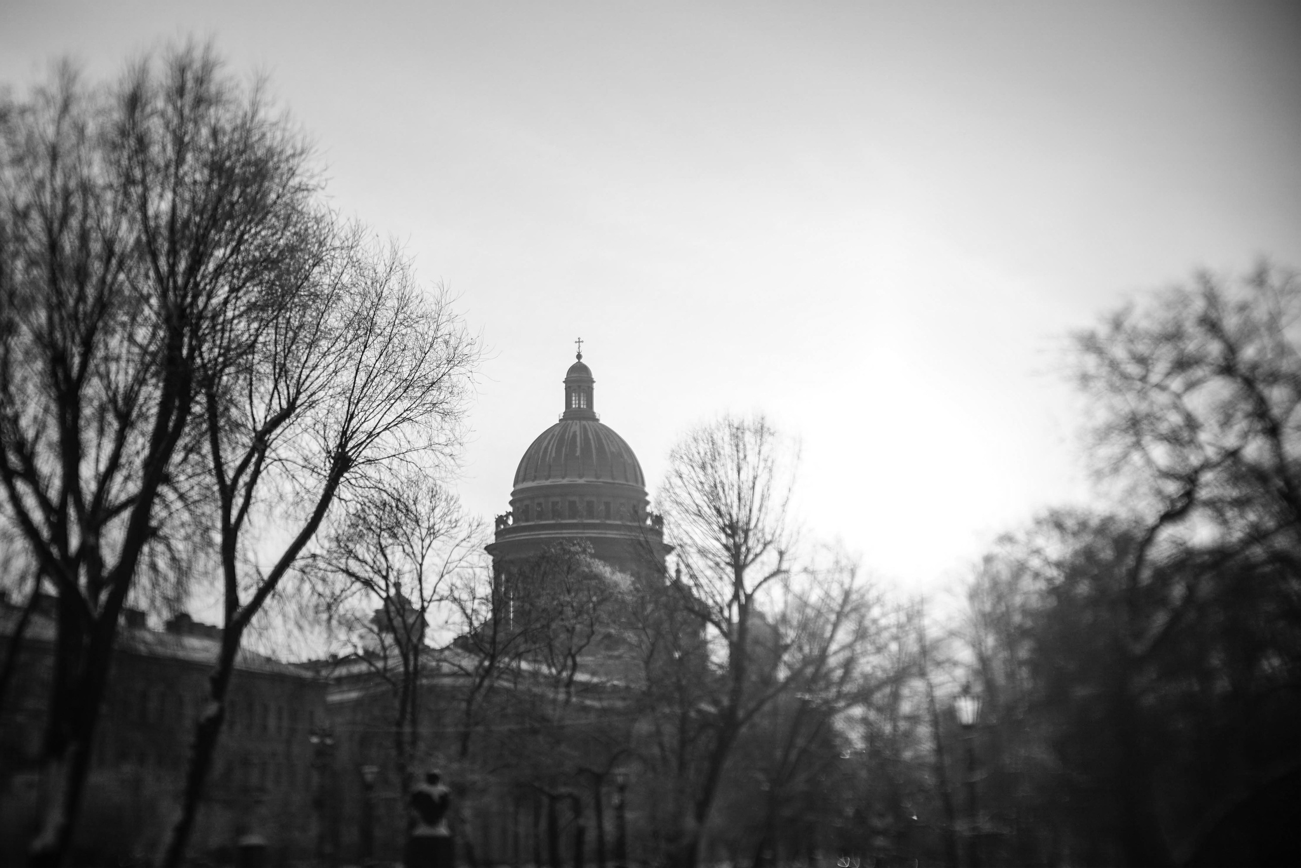 Выставки. Фотохудожник Татьяна Бойцова