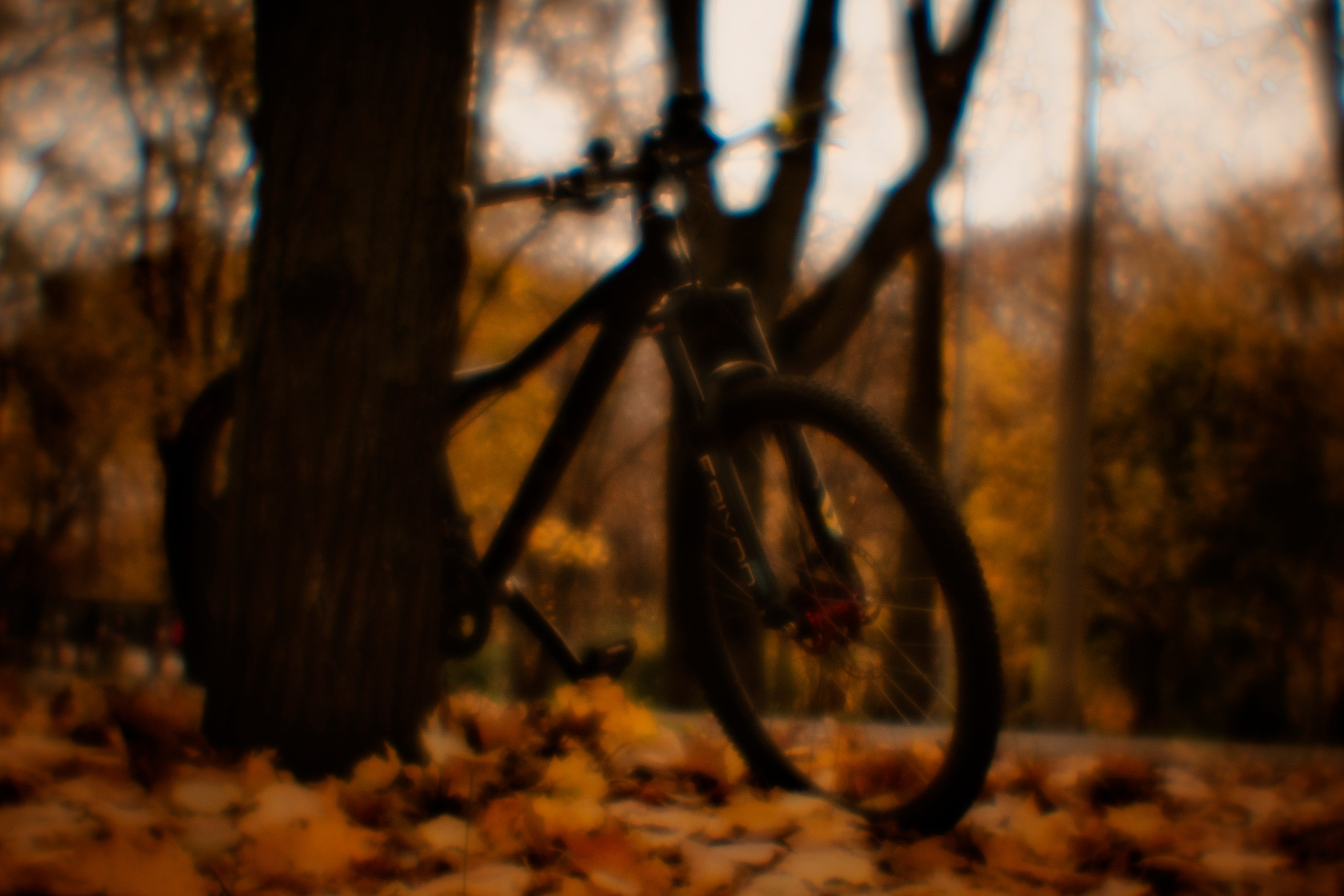 Макс Аксёнов. Портретный фотограф