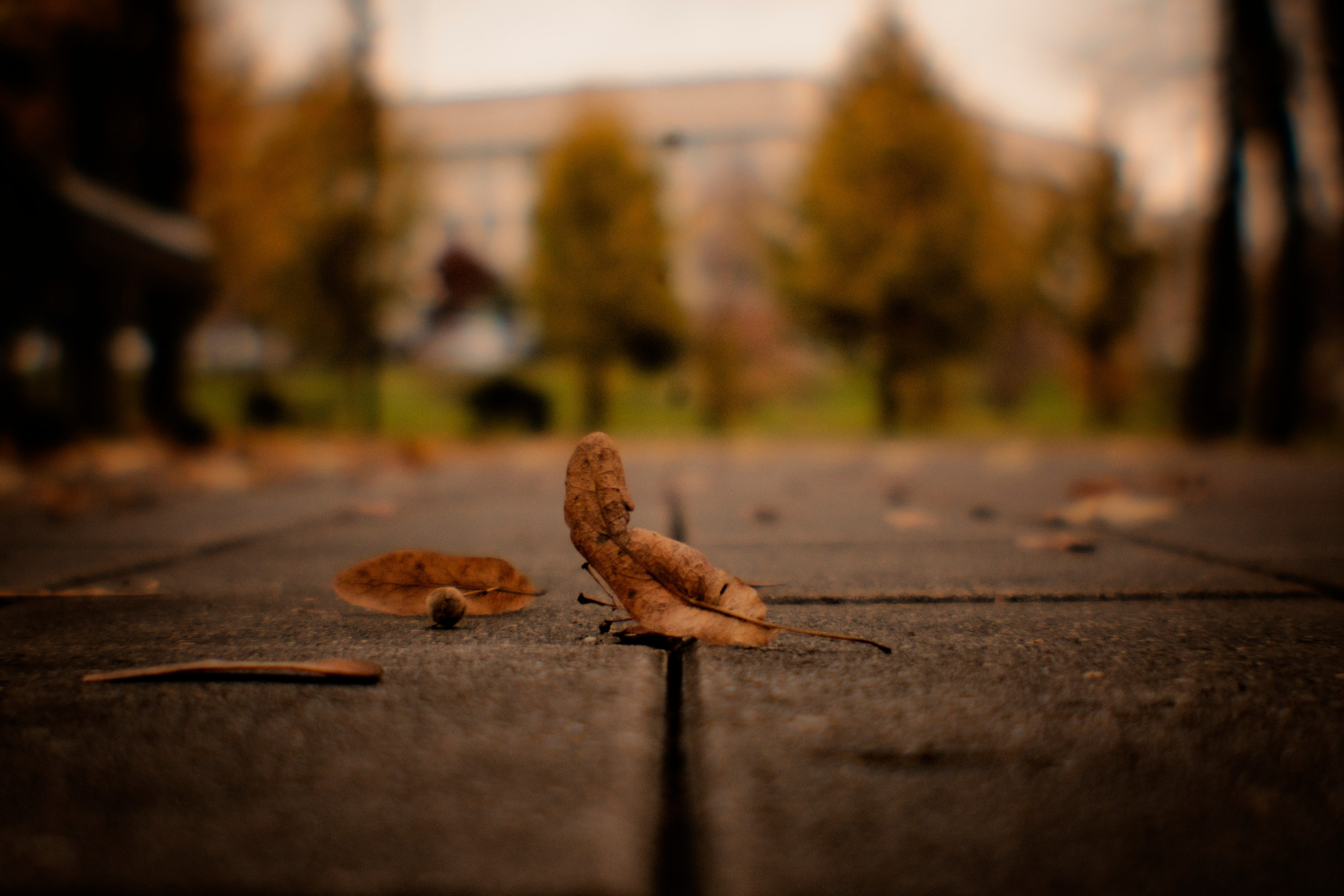 Макс Аксёнов. Портретный фотограф