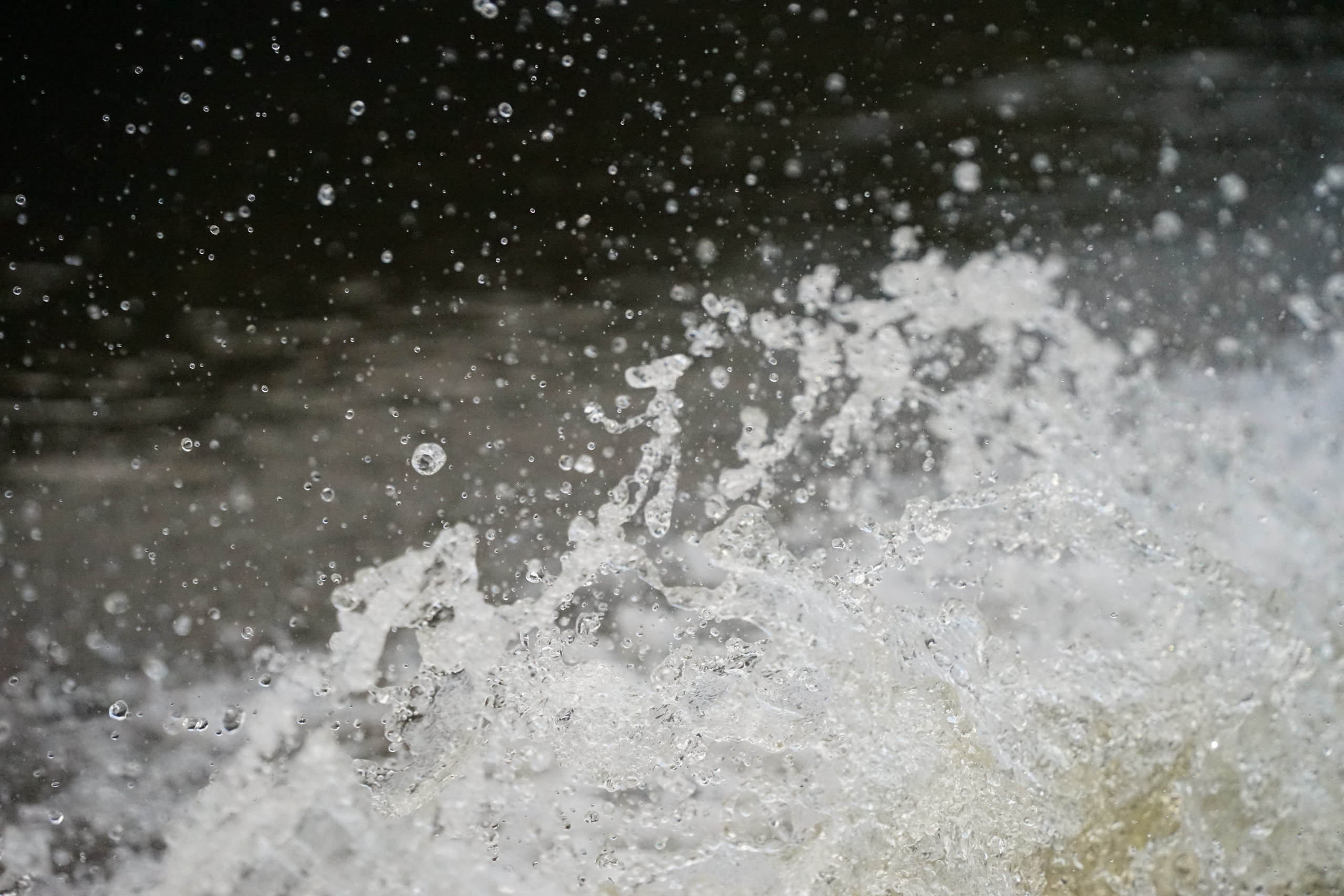 The catch. Artist Anna Snegina Художница Анна Снегина