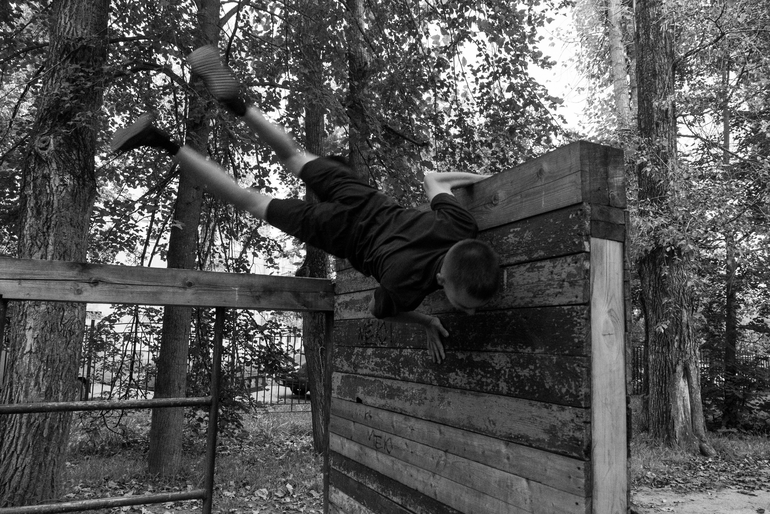 Black panthers. Documentary photographer, photojournalist based in Russia