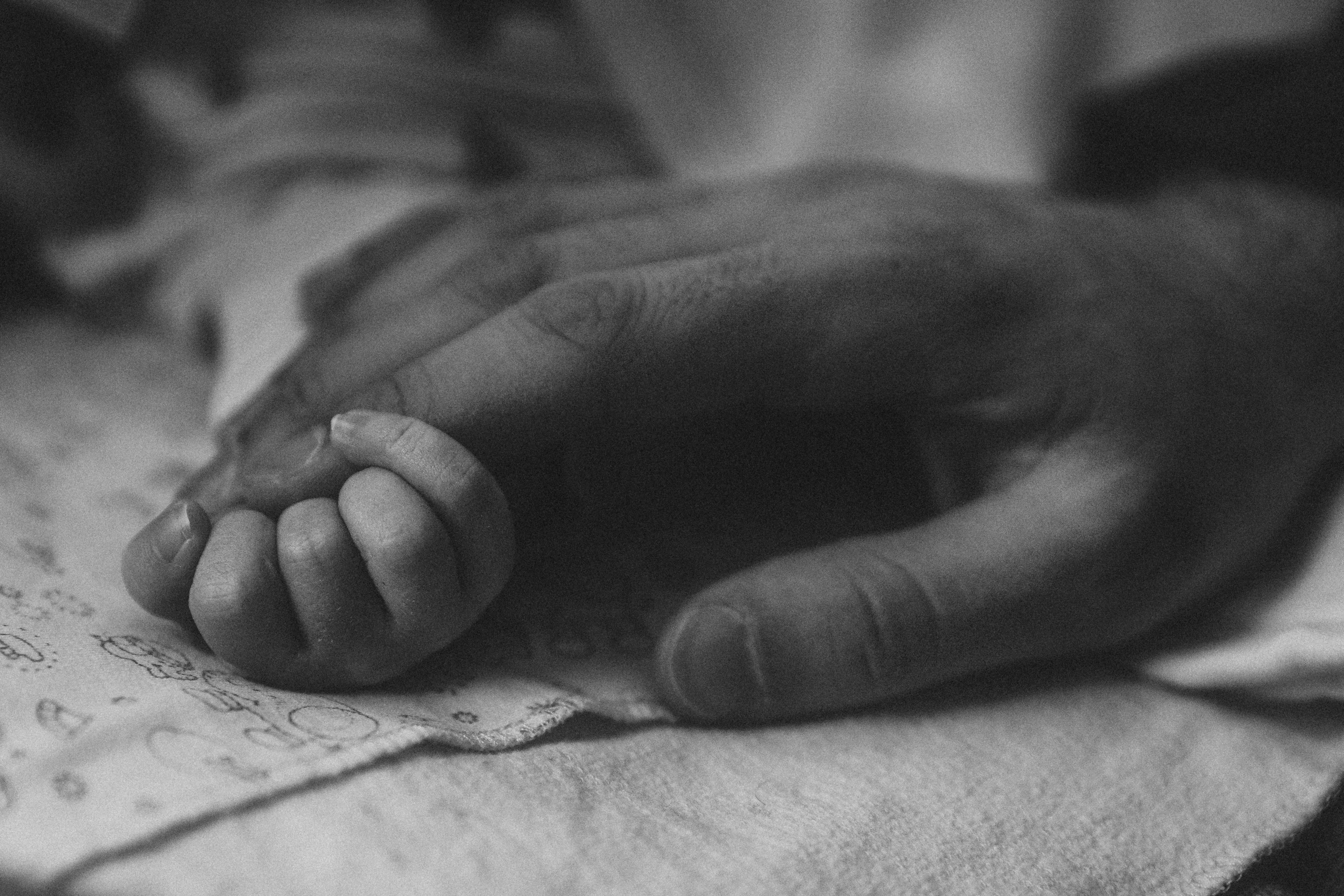 Семейная история. Леся Гаранина. Семейный фотограф/видеограф Москва и область