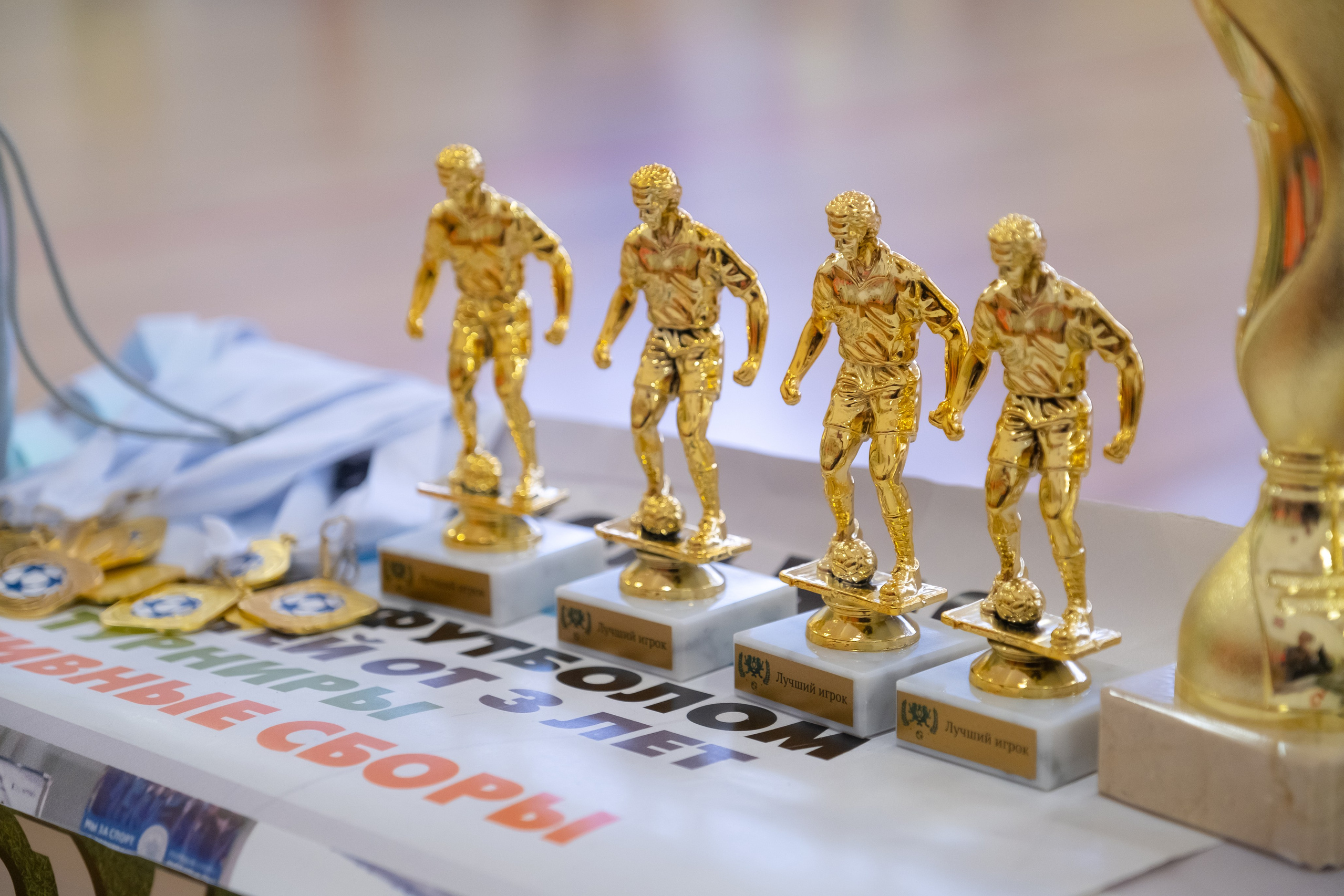 Репортажные съемки. Фотограф и видеограф Софья Бурляева в Санкт-Петербурге