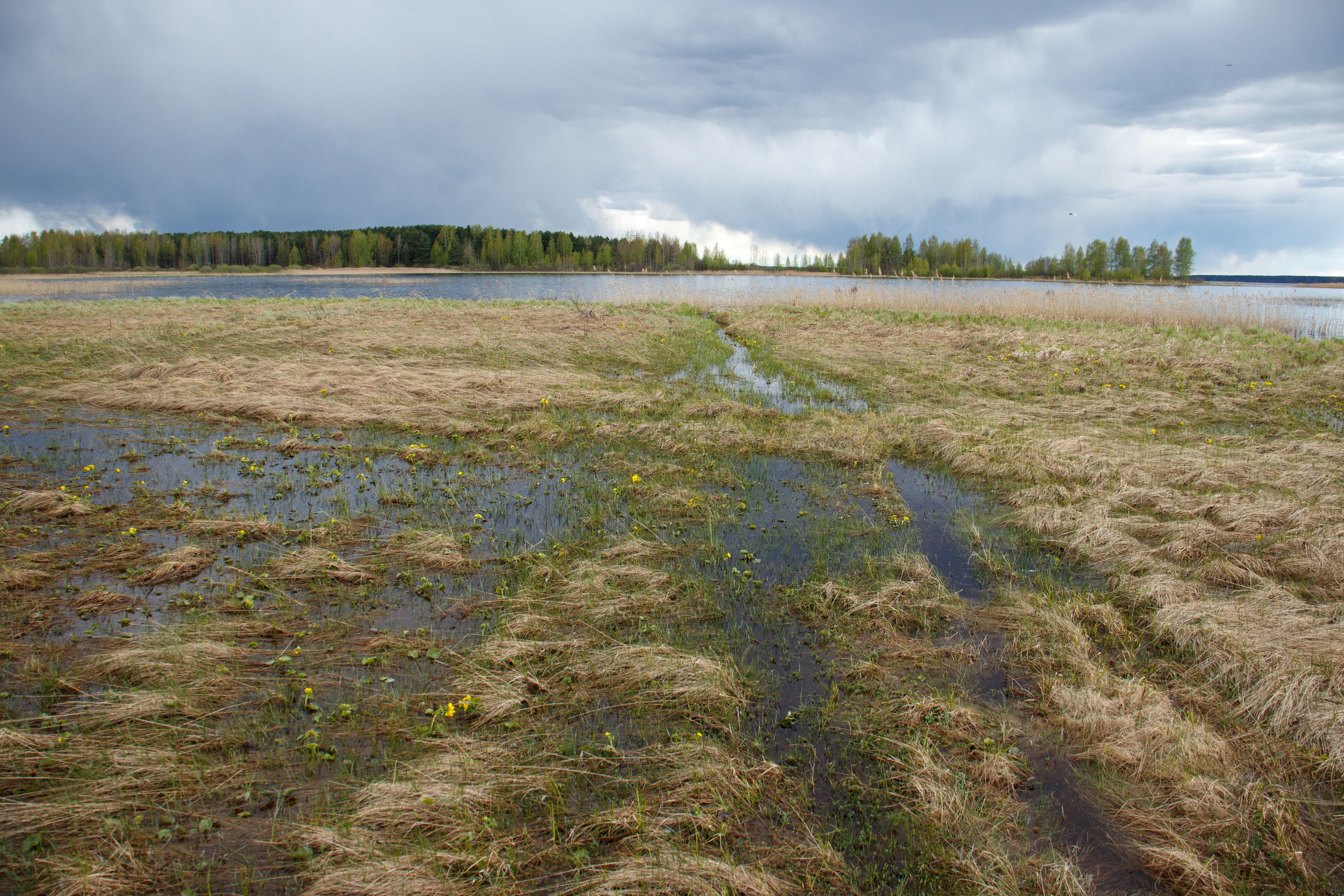 艺术印刷品 – 限量版摄影，装点您的空间