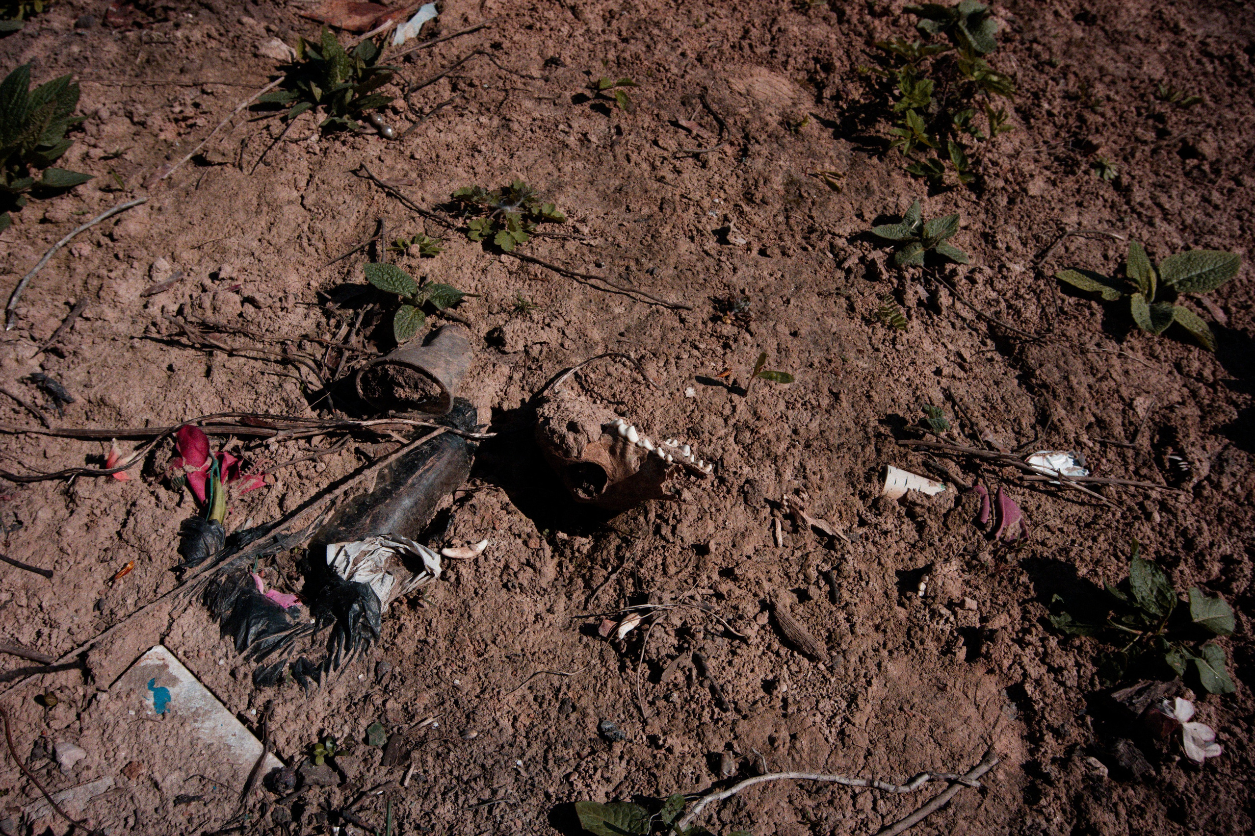 Отрадное — дрейф «система 22». Роман Ходырев — художник, фотограф, музыкант, эзотериолог. Санкт-Петербург, Рига