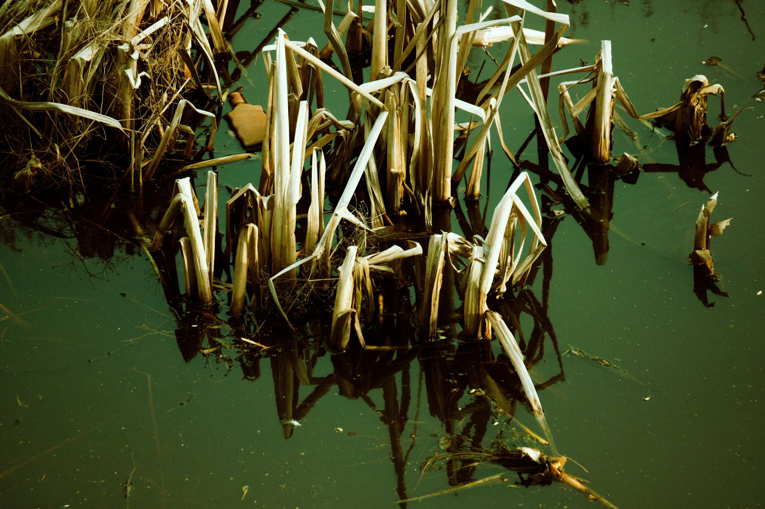 Отрадное — дрейф «система 22». Роман Ходырев — художник, фотограф, музыкант, эзотериолог. Санкт-Петербург, Рига