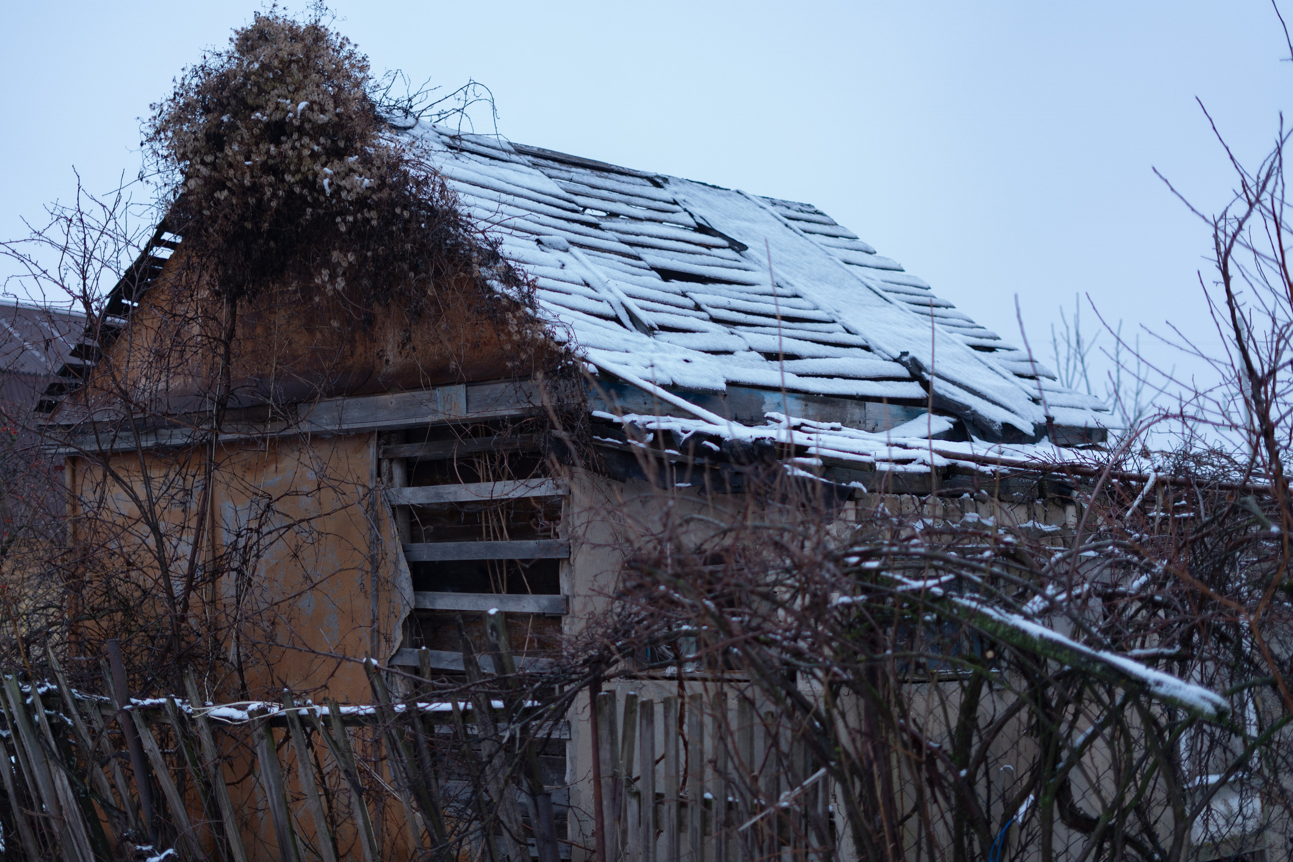 365 Фоточеллендж | 365 Photochallenge. Семейный и детский фотограф Гончарова Елена | Волжский, Волгоград