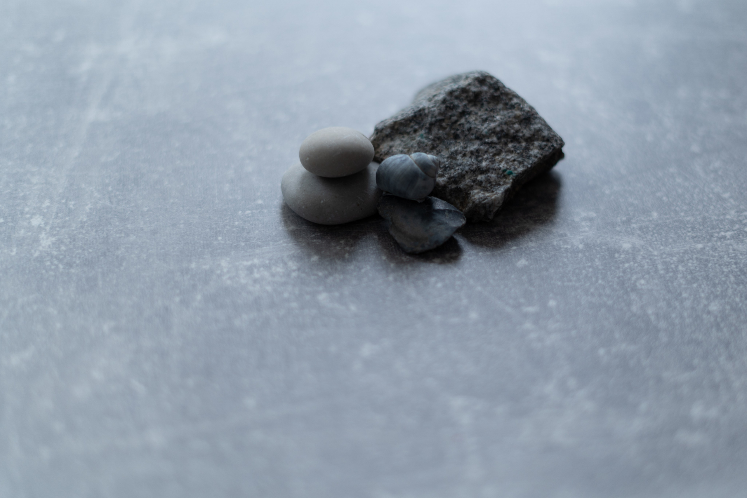 365 Фоточеллендж | 365 Photochallenge. Семейный и детский фотограф Гончарова Елена | Волжский, Волгоград