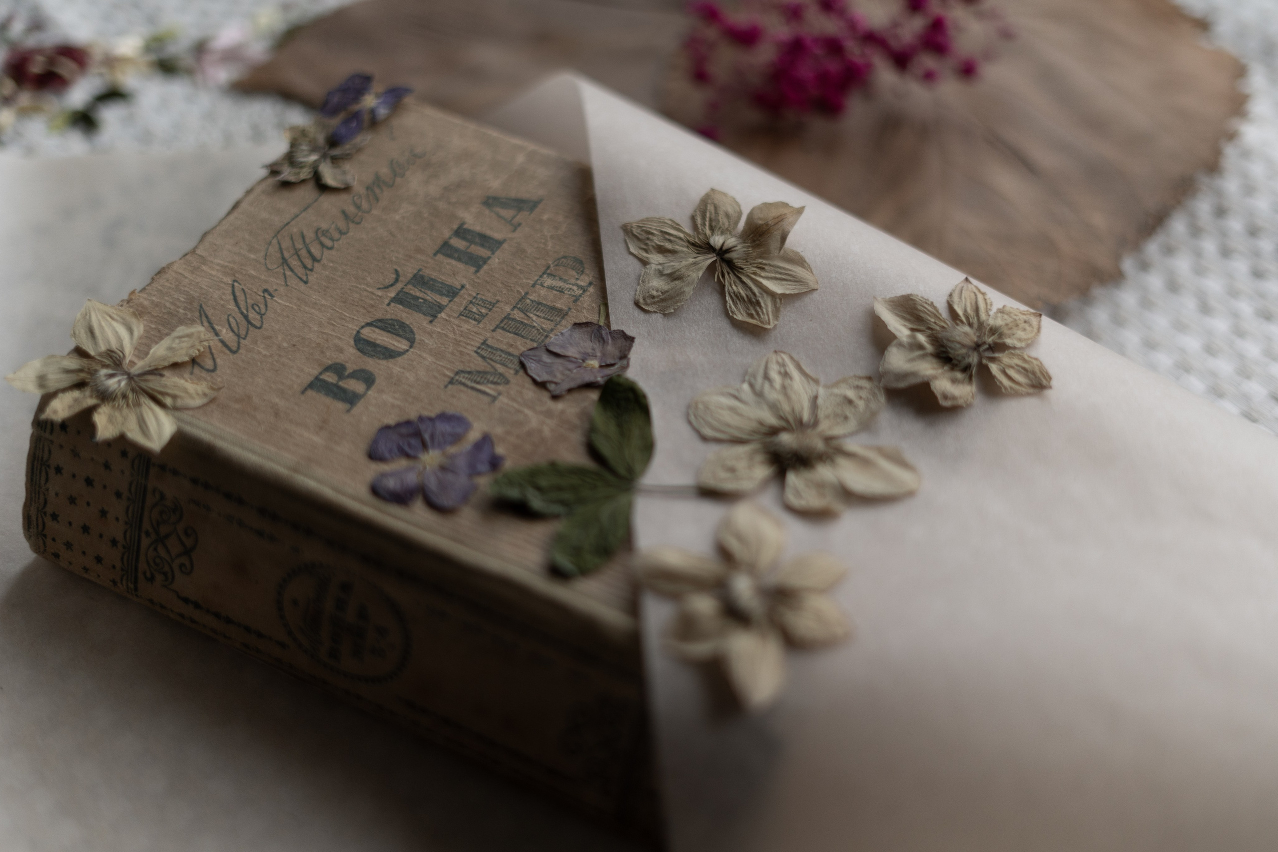 фотография