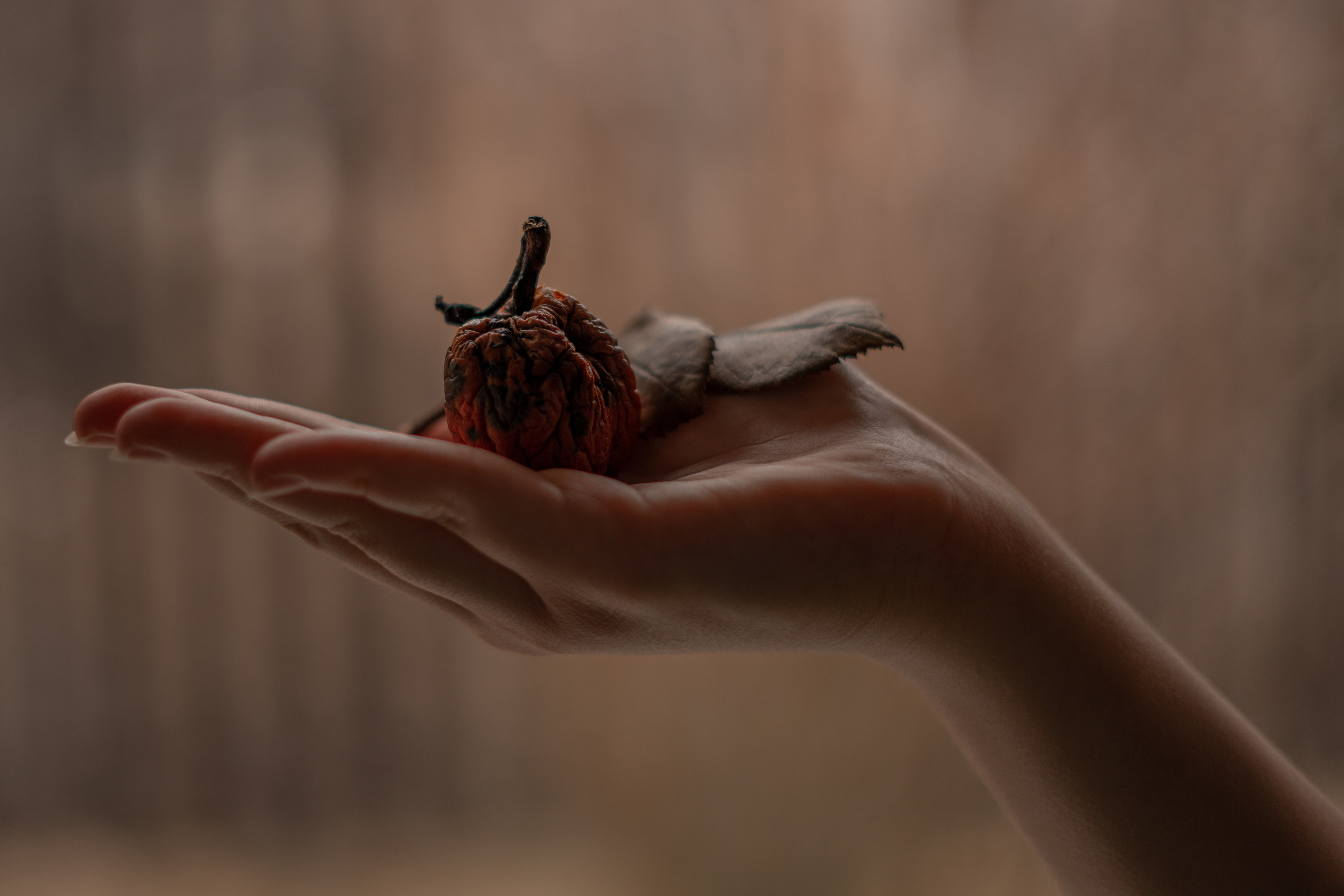 365 Фоточеллендж | 365 Photochallenge. Семейный и детский фотограф Гончарова Елена | Волжский, Волгоград