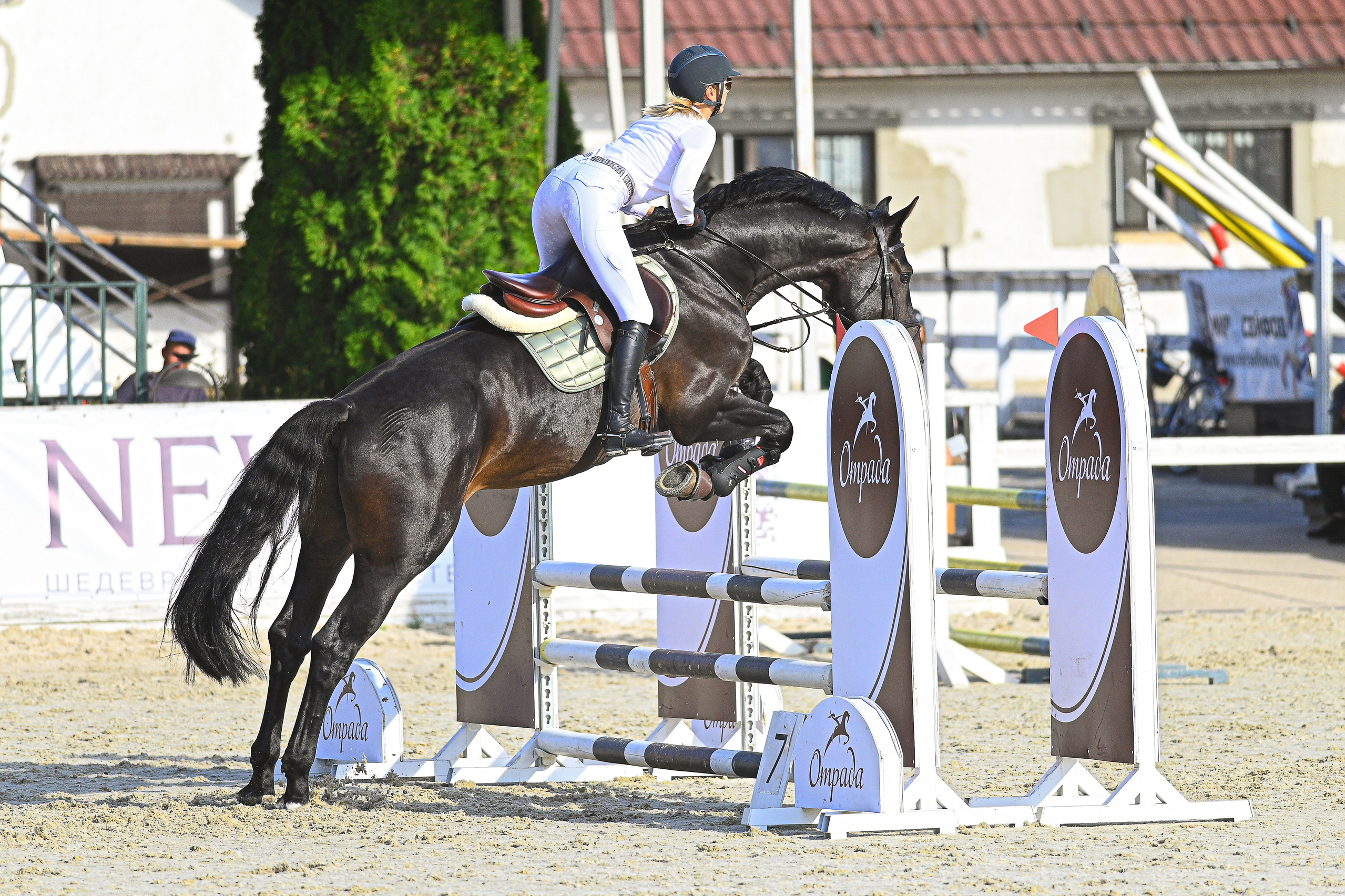 Услуги и Цены. ТУРНИРНАЯ КОННАЯ ФОТОГРАФИЯ, Руднева Ольга и Евгений Адеев
