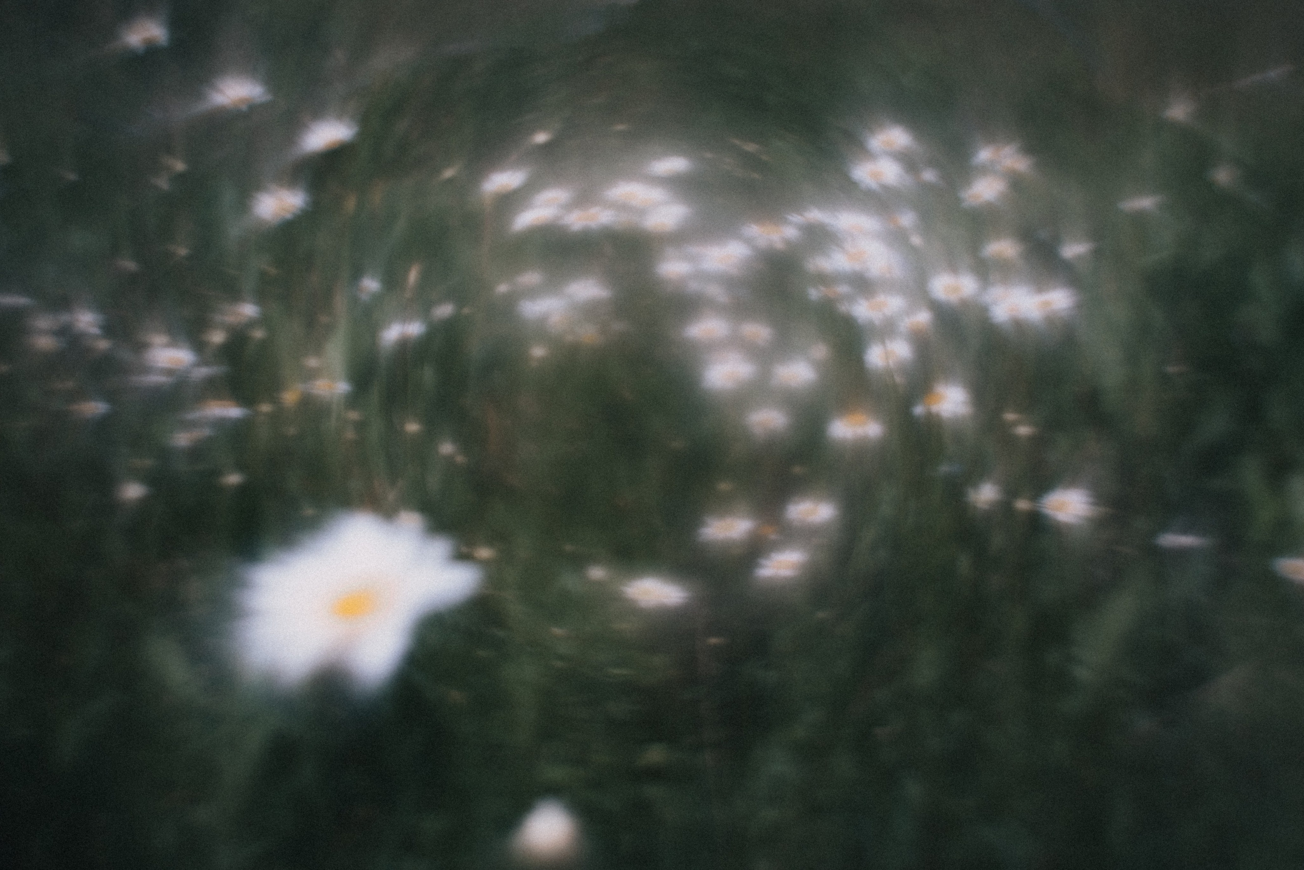 Принты/Дневники. Andrew Sozonov visual artist