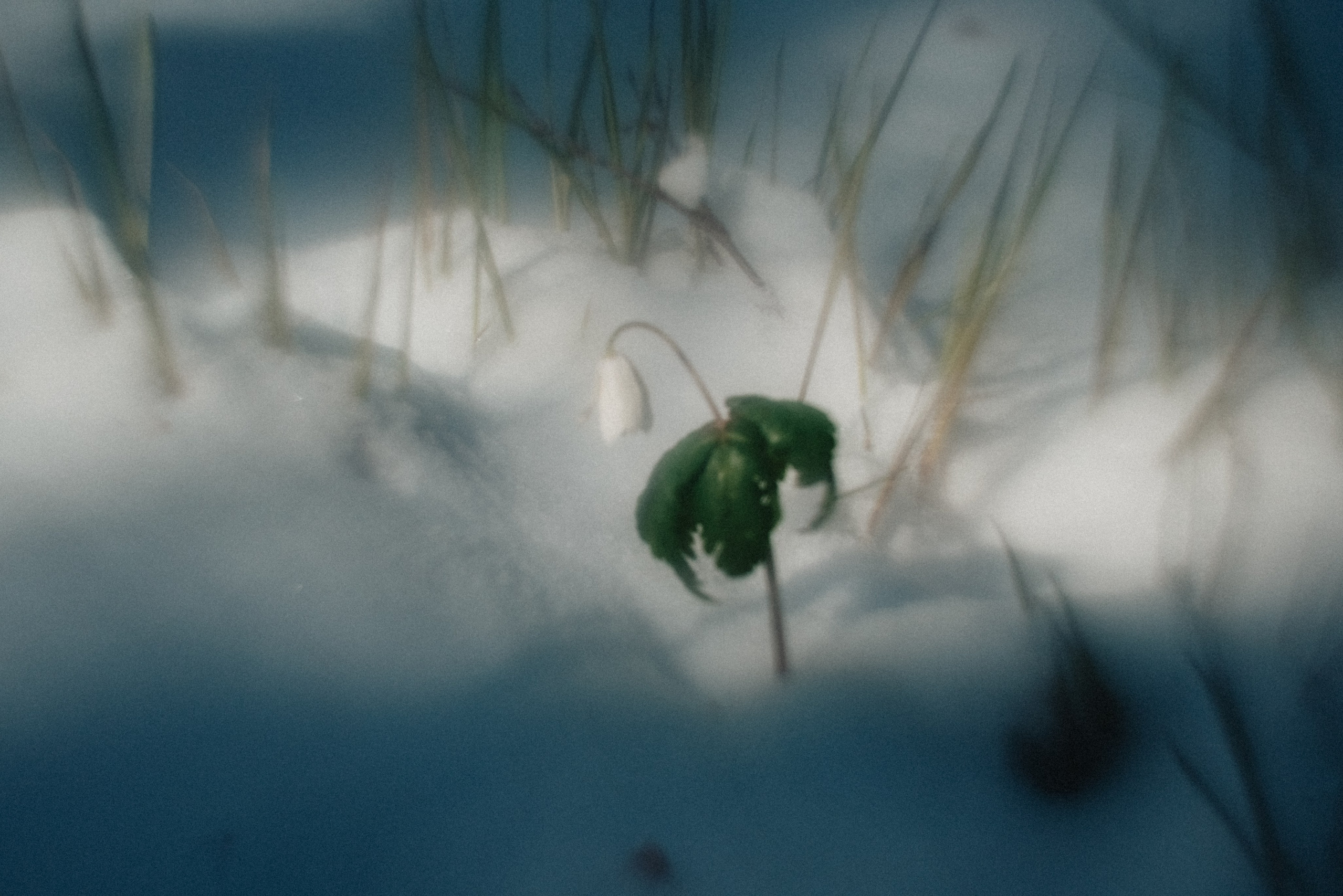 Принты/Пейзажи. Andrew Sozonov visual artist