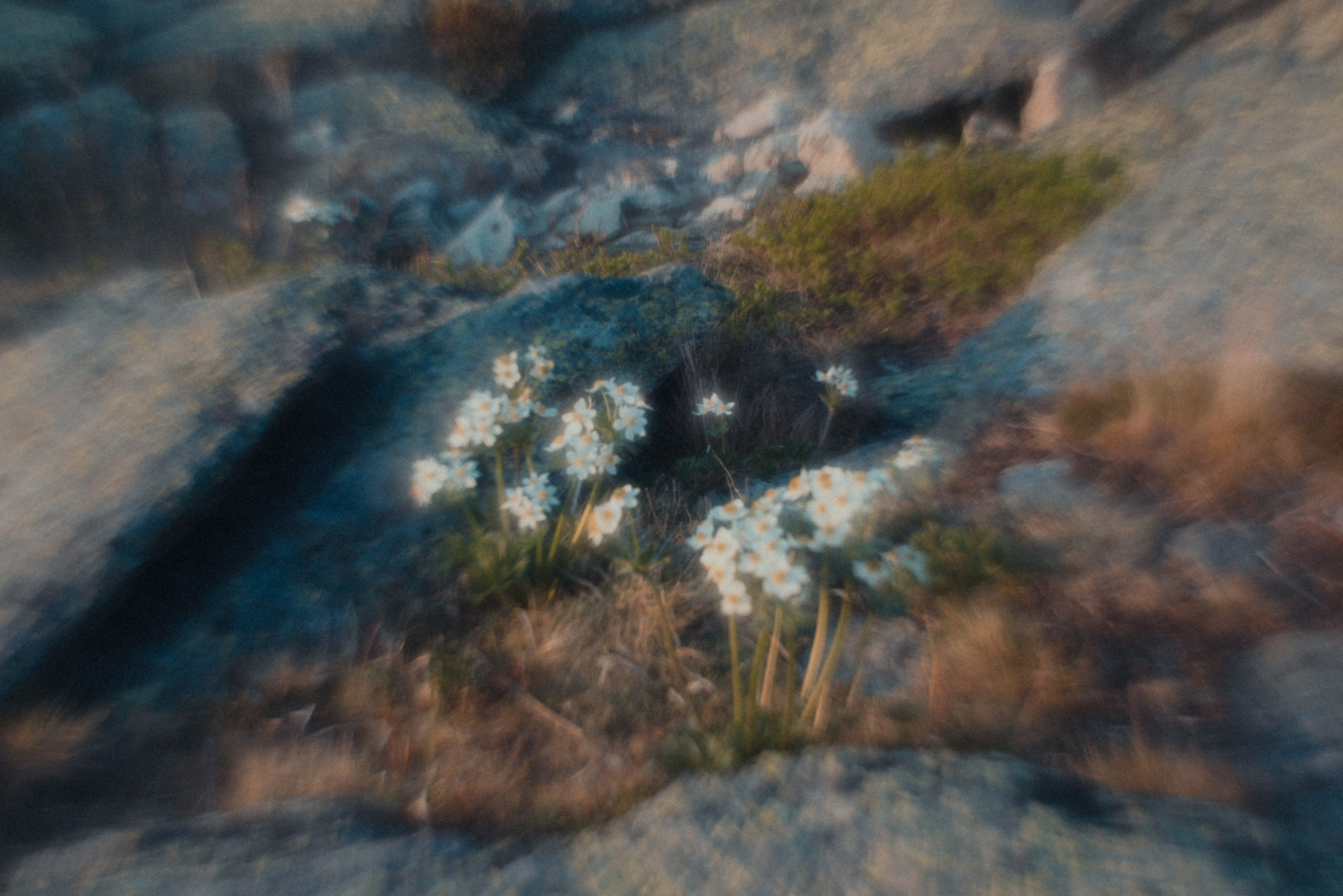 Принты/Пейзажи. Andrew Sozonov visual artist