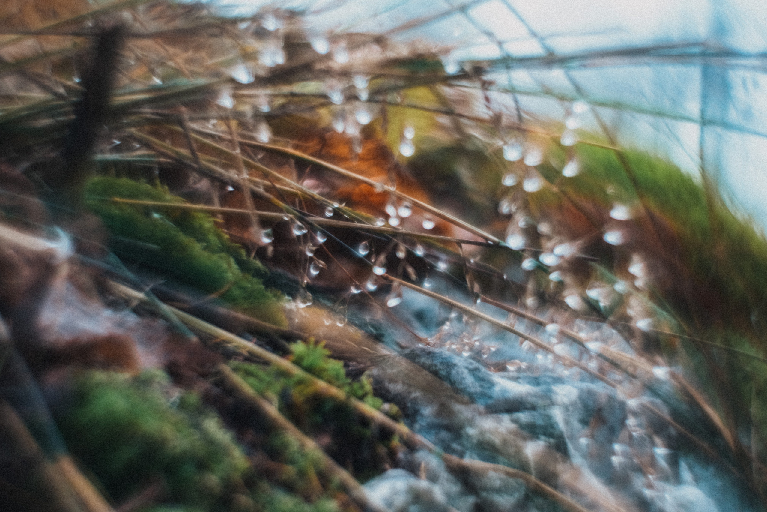 Принты/Пейзажи. Andrew Sozonov visual artist