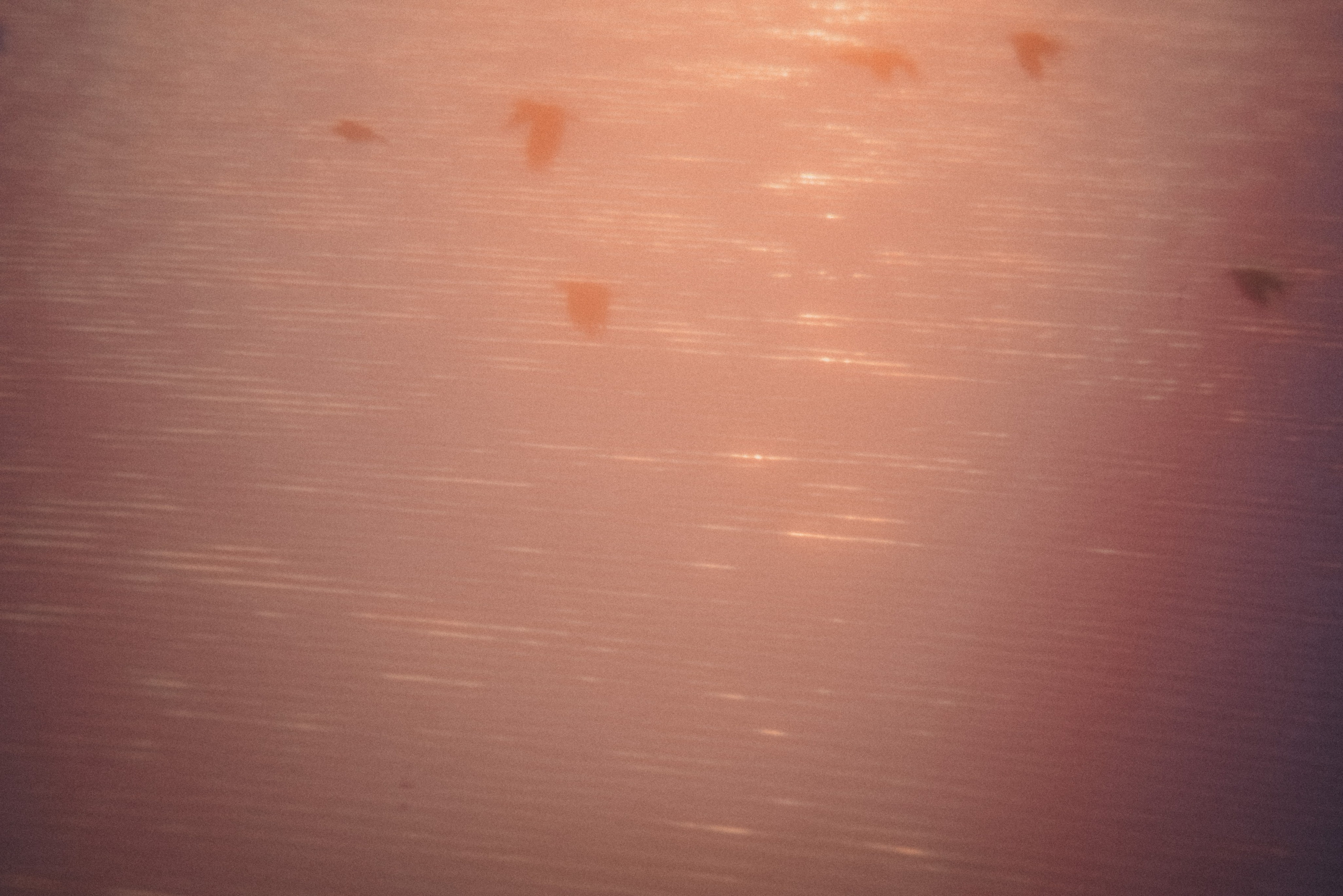 Принты/Дневники. Andrew Sozonov visual artist