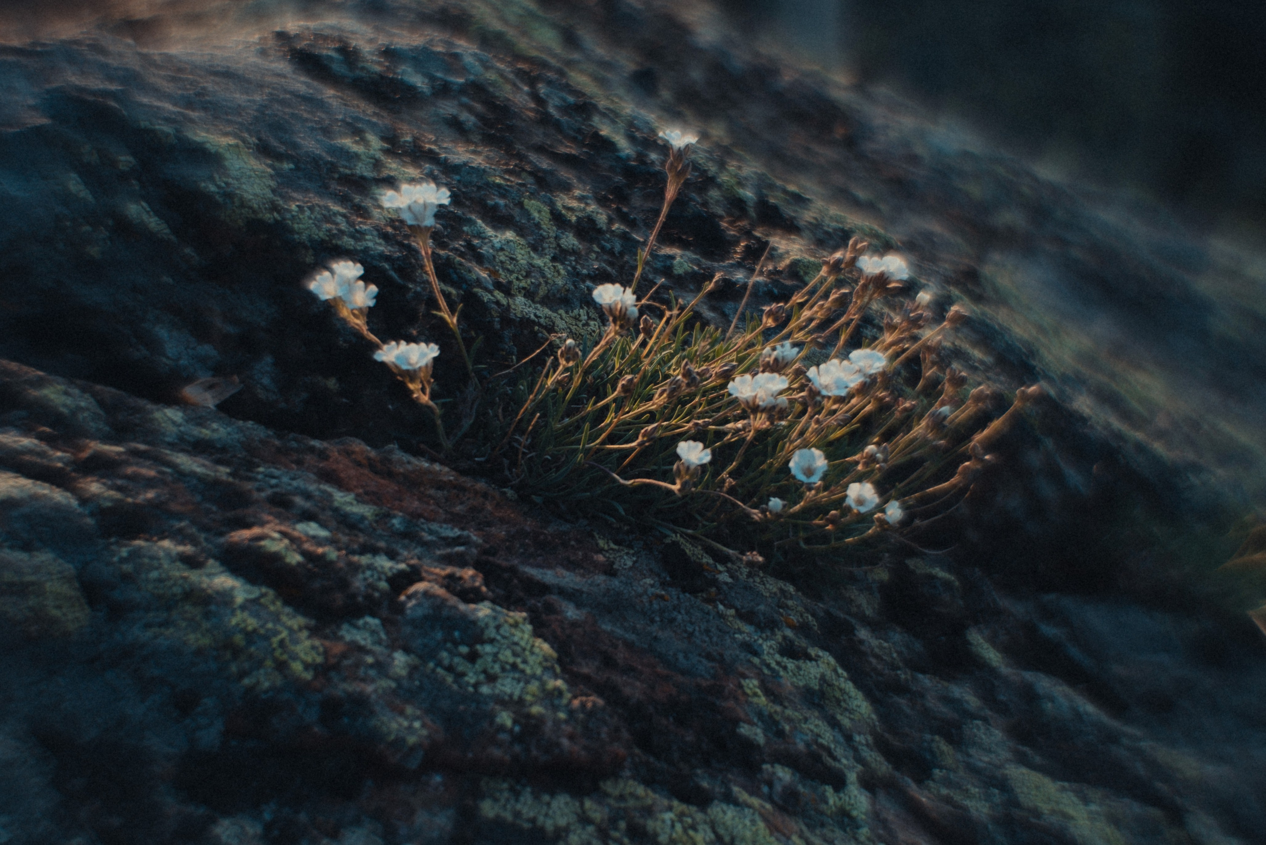 Принты/Пейзажи. Andrew Sozonov visual artist