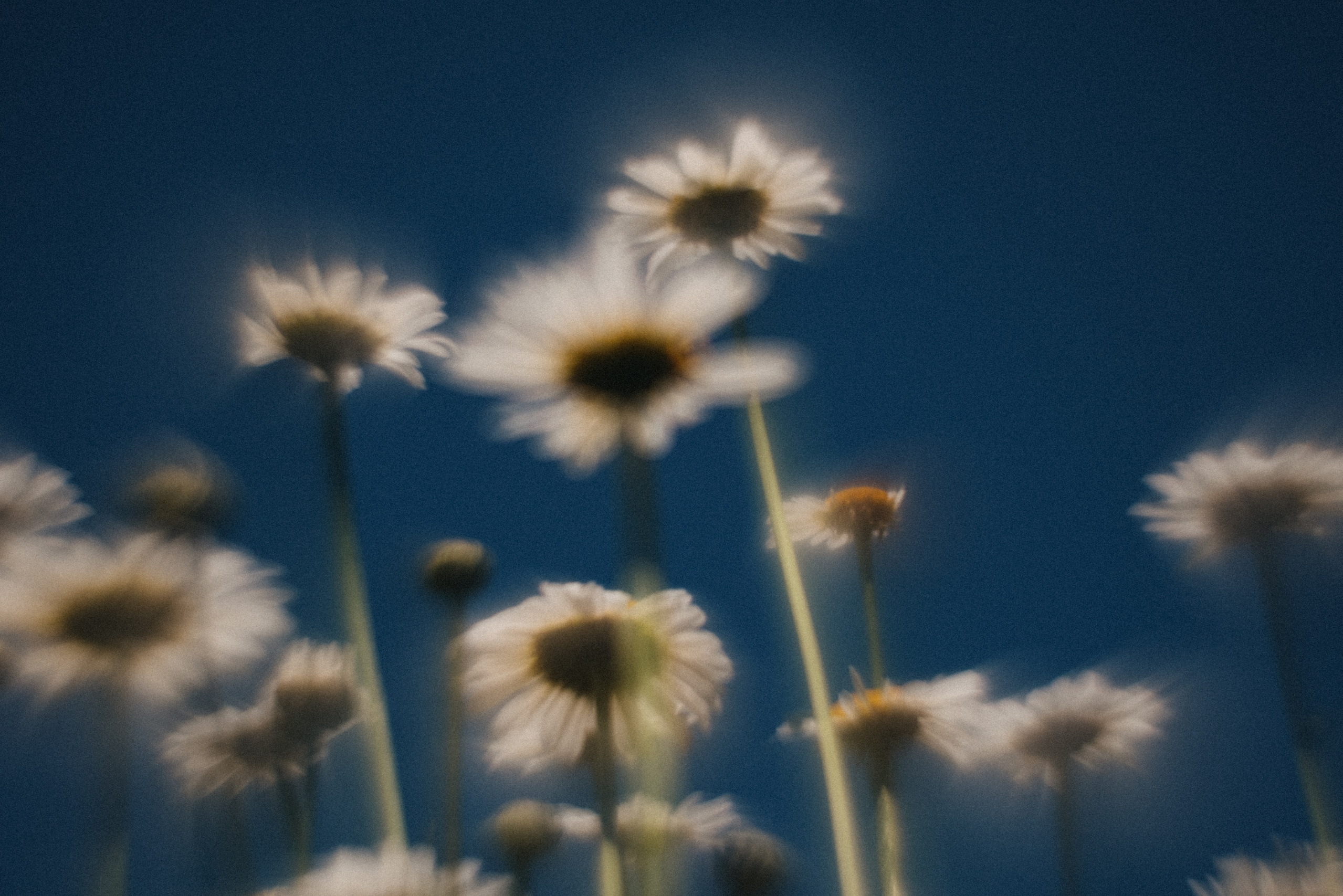 Принты/Дневники. Andrew Sozonov visual artist