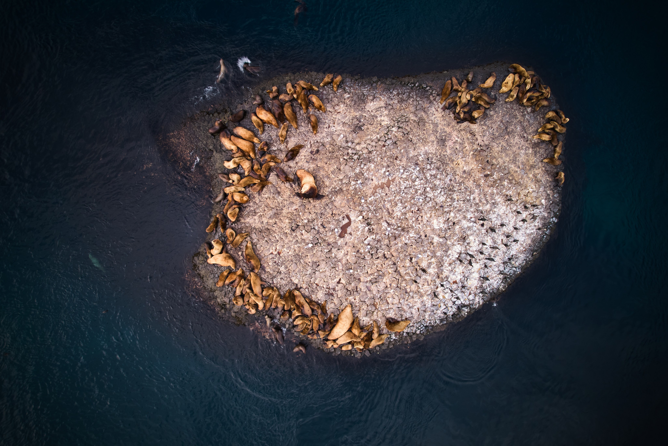 Камчатка + Сахалин — экспедиция в два региона за одну поездку. Время Камчатки: чтобы найти свой путь, нужно скорость умножить на время