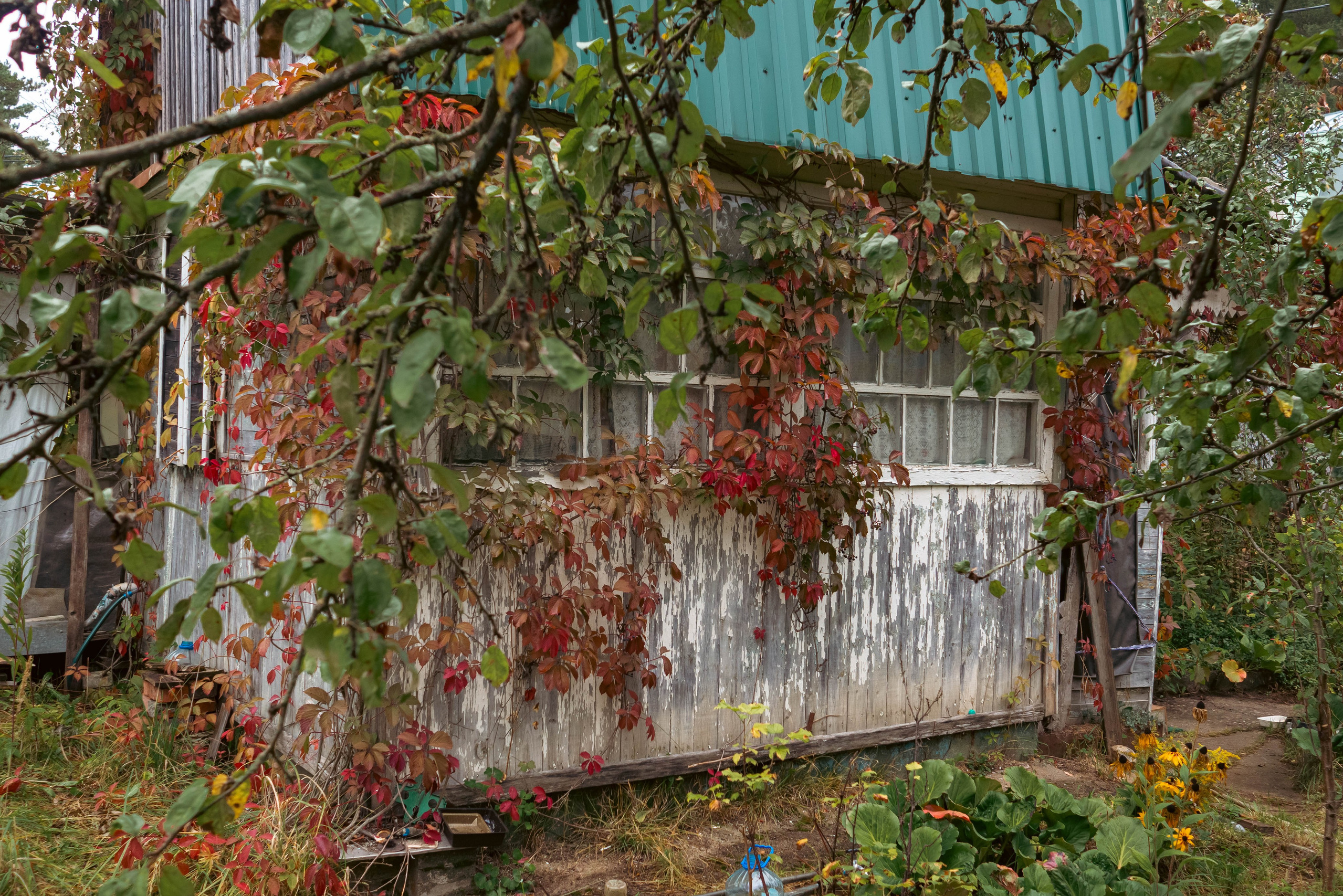 Список альбомов. Дмитрий Ремизов. Фотография, как хобби
