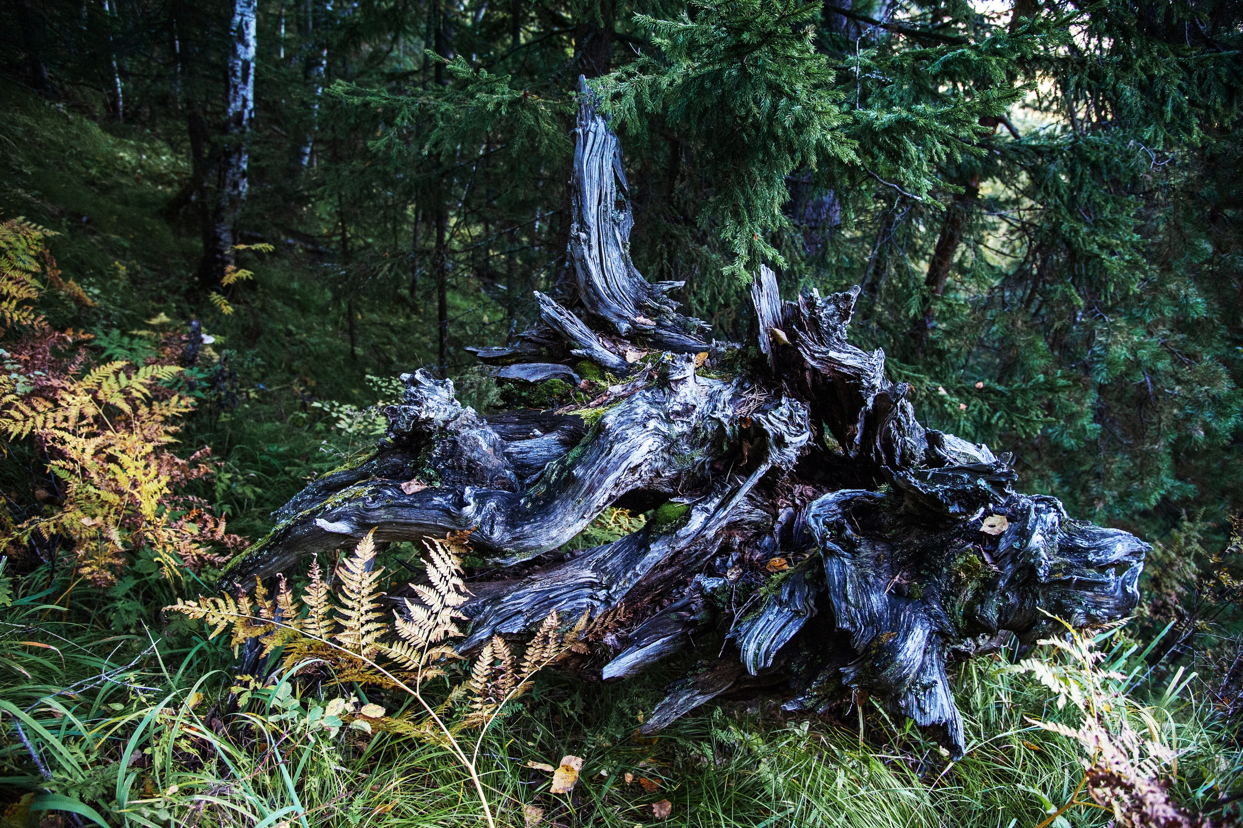 Точка равновесия. Арт-фотография, терапевтическая фотография в Москве. Фотограф Анна Ермолова