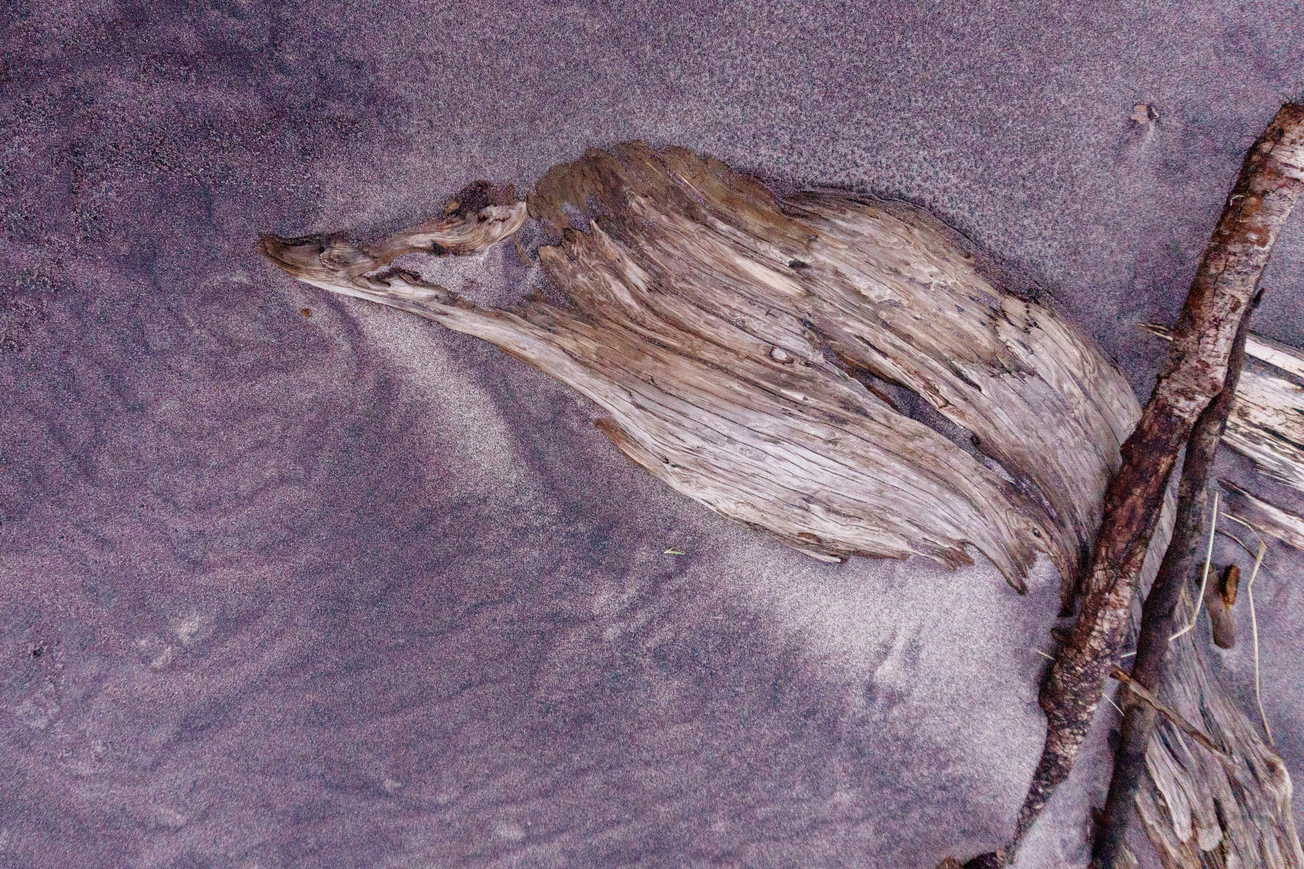 Точка равновесия. Арт-фотография, терапевтическая фотография в Москве. Фотограф Анна Ермолова