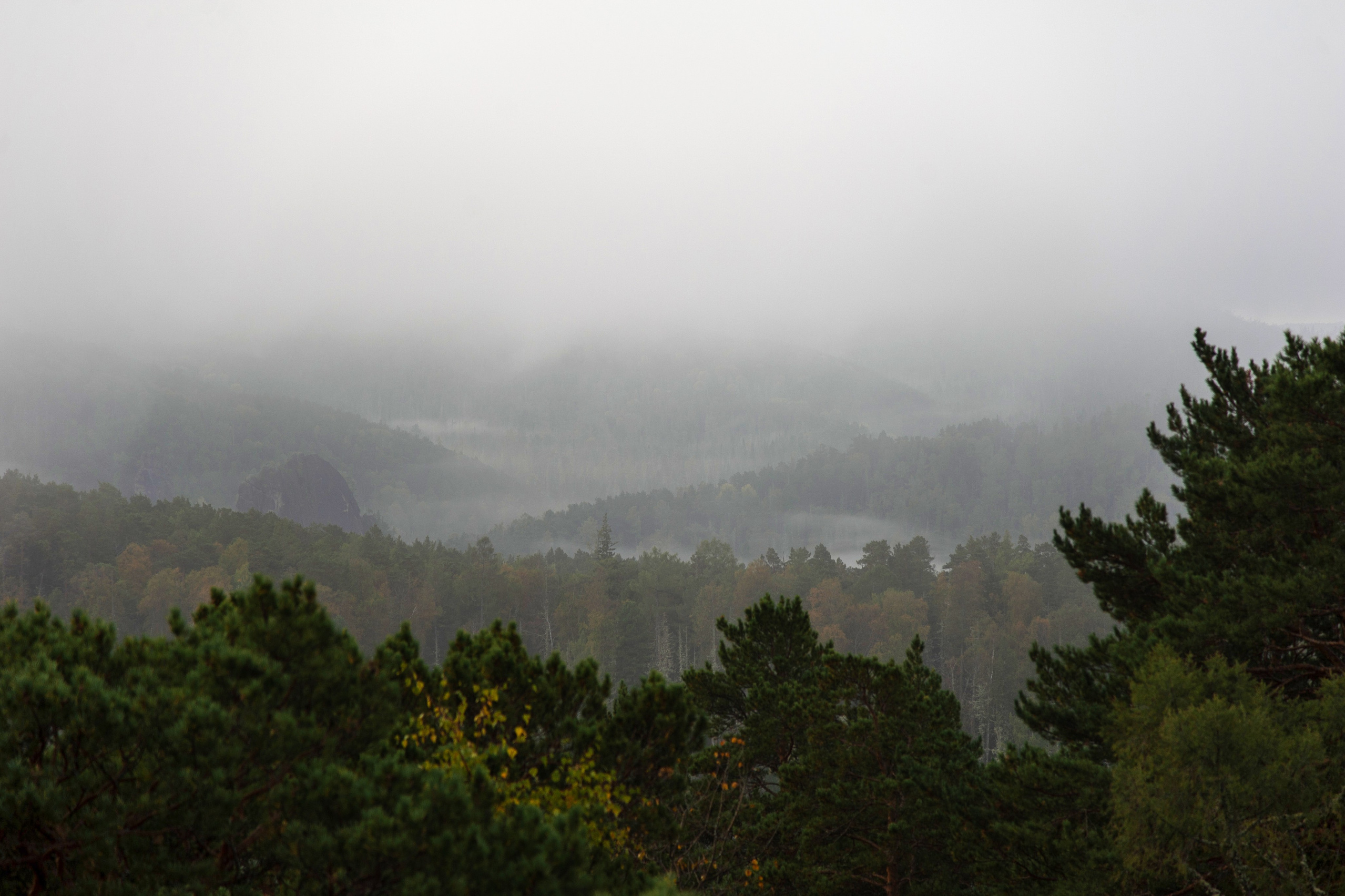 Точка равновесия. Арт-фотография, терапевтическая фотография в Москве. Фотограф Анна Ермолова