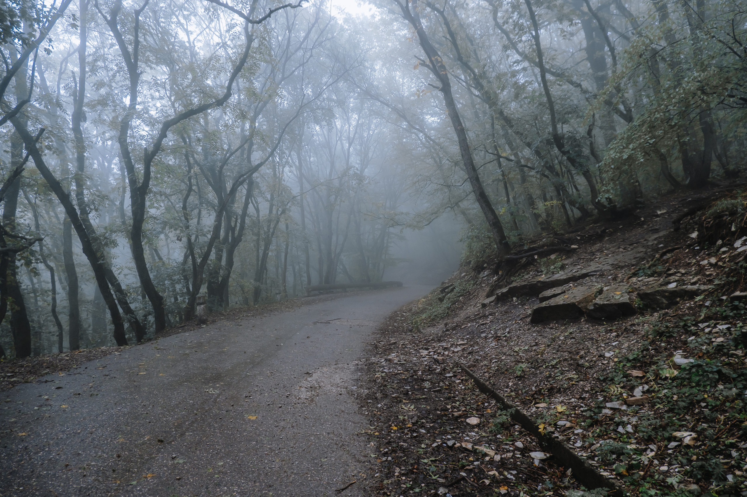 КМВ (октябрь 2021)