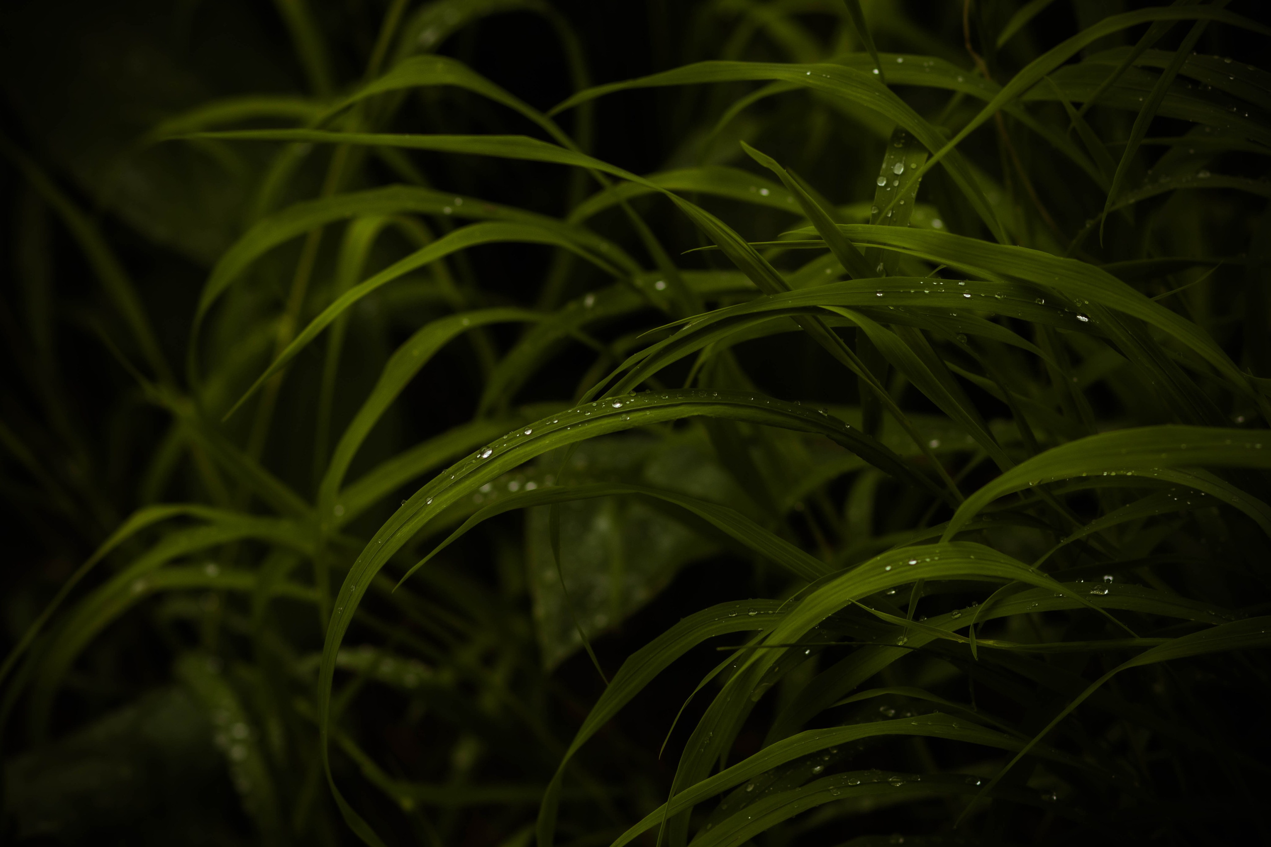 Контакты. Семейный и детский фотограф Майя Гришина