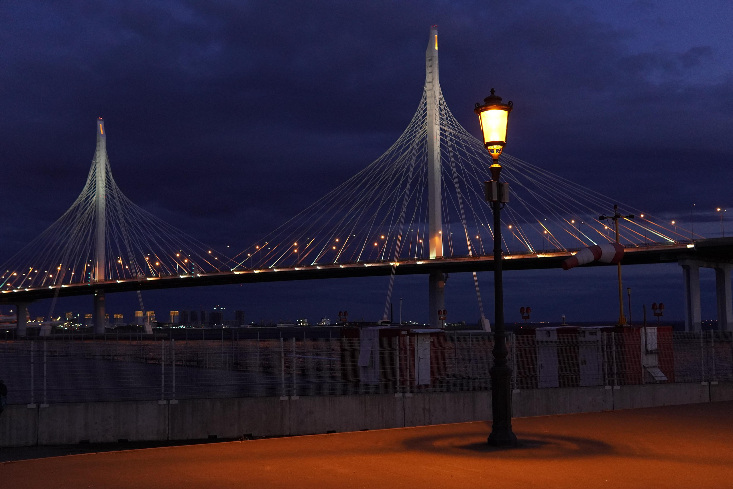 Фотомюзикл под дождем. Фотограф людей и животных в Санкт-Петербурге Марина Бурмистрова