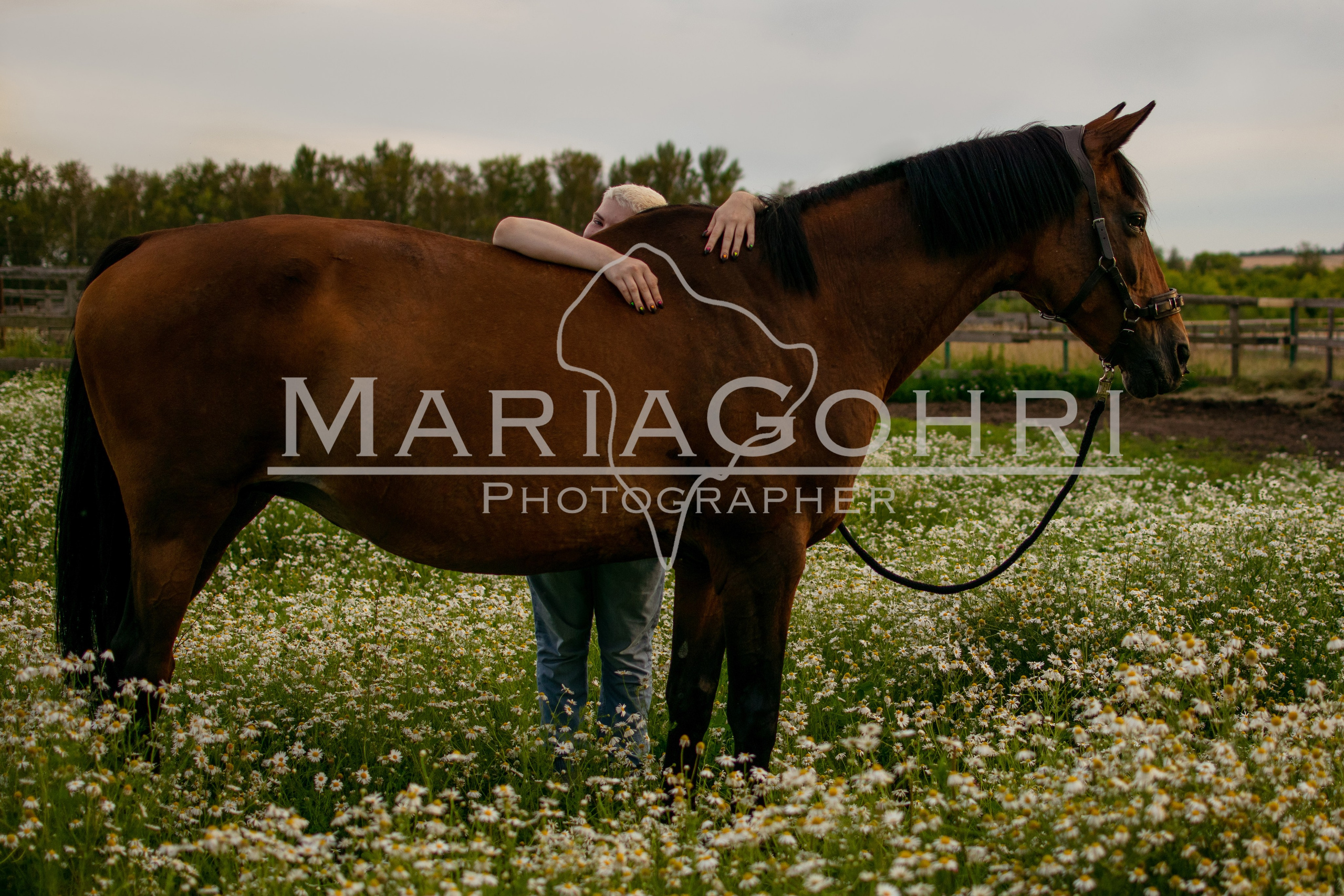 Контакты. MariaGohri — Конный фотограф, анималист, Рязань