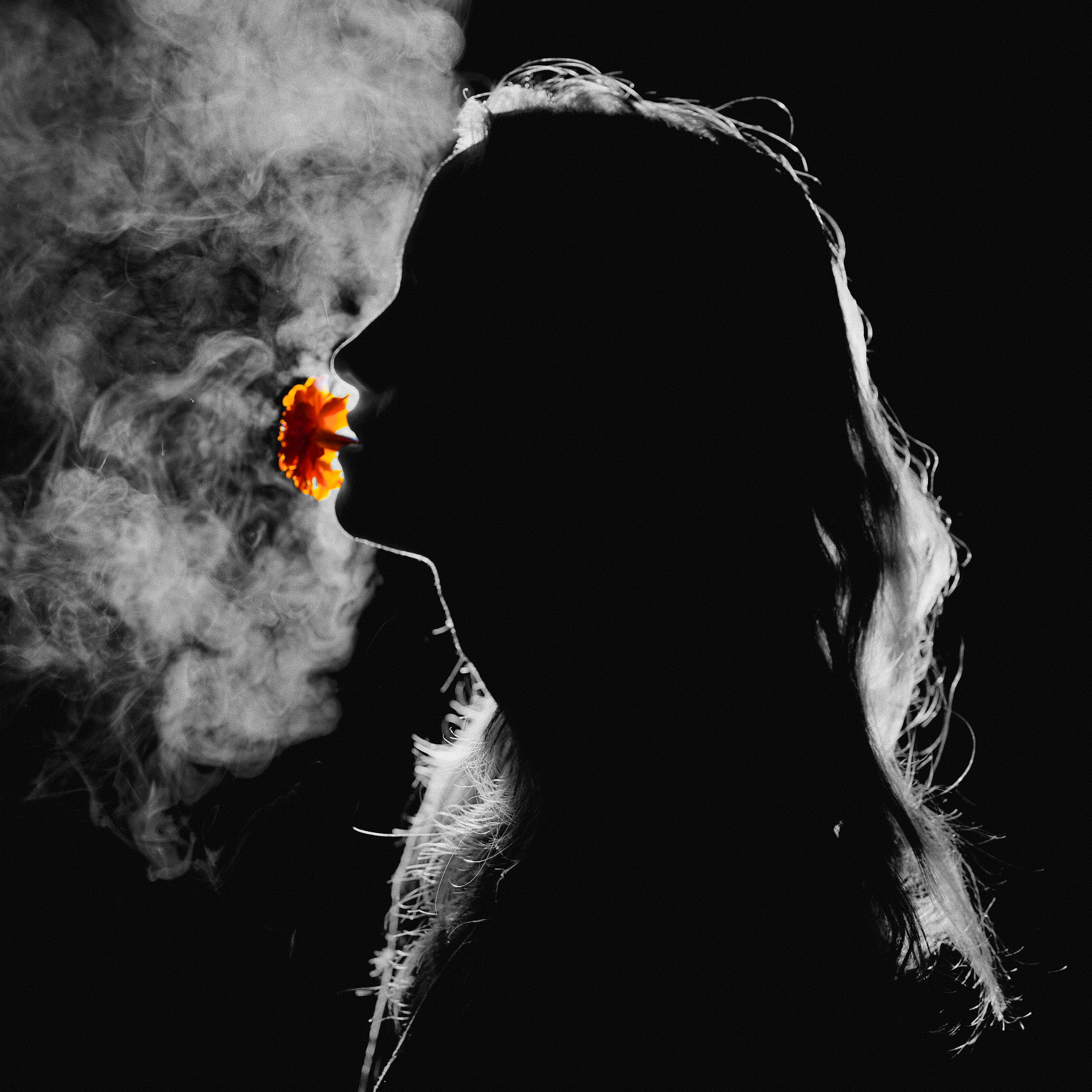 Услуги. Denis Kirillov