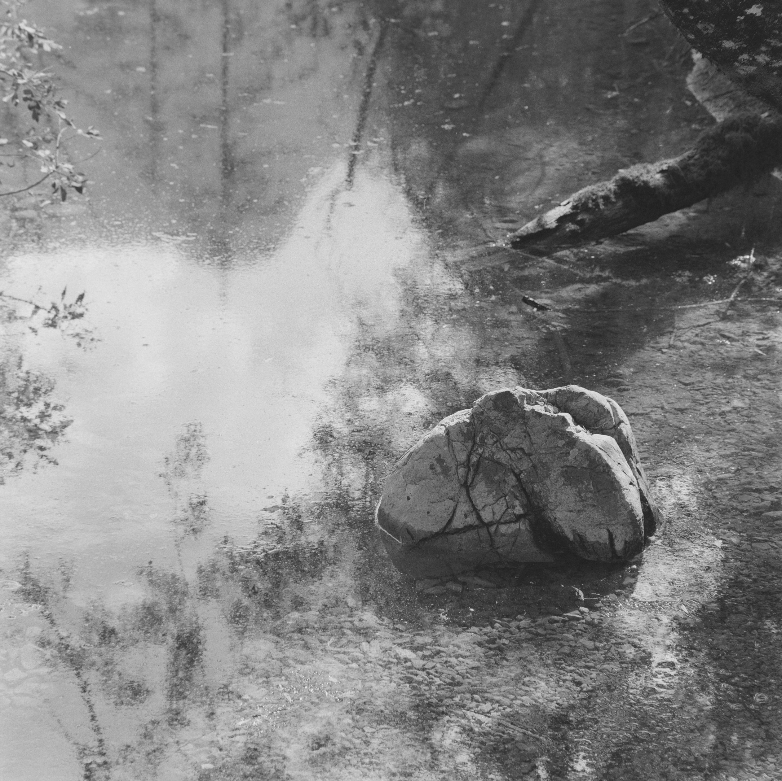 Film meditations. Ekaterina Shikhanova