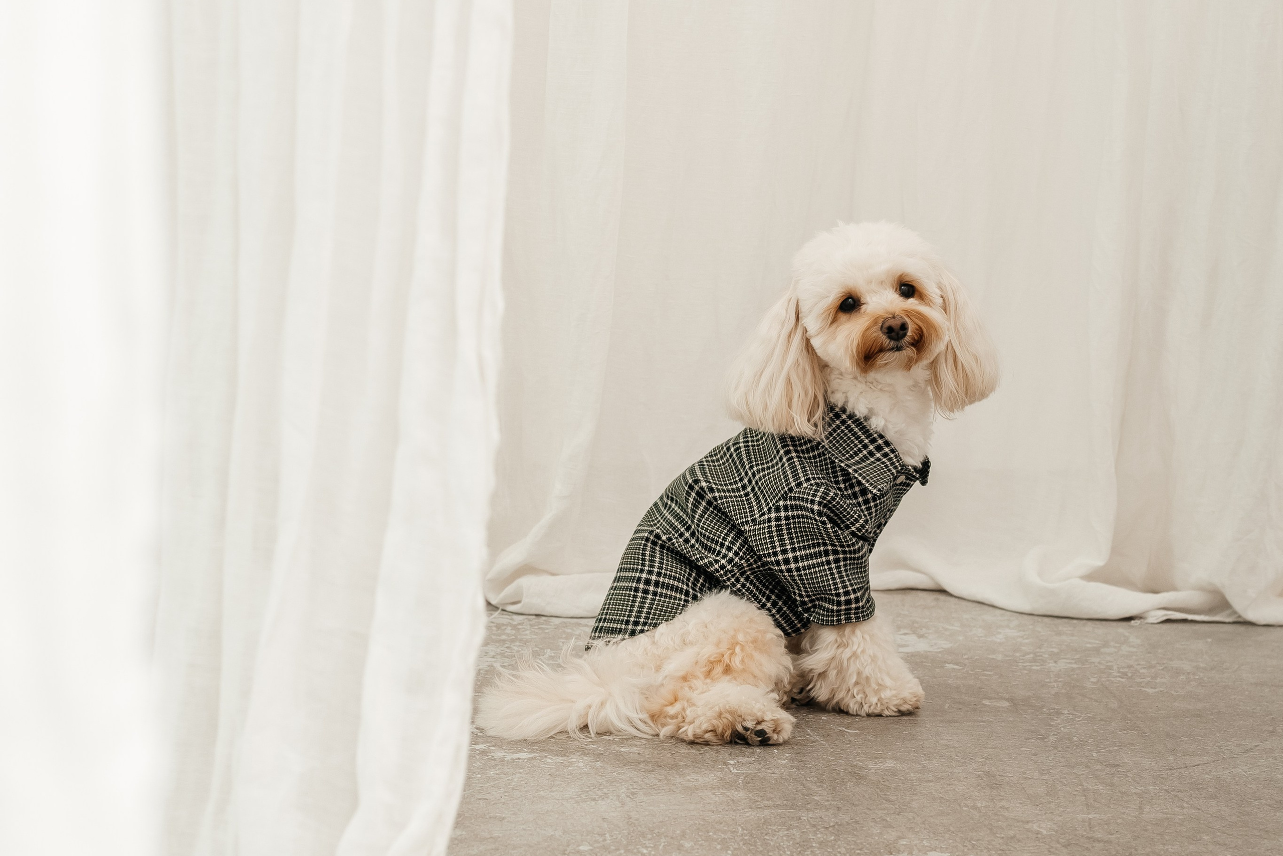 Animal. Фотограф Краснодар Марго Хелбен