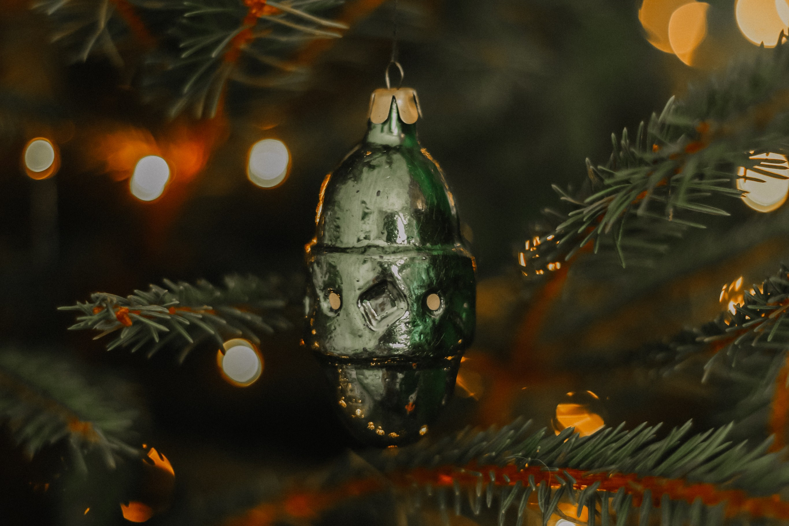 Animal. Фотограф Краснодар Марго Хелбен