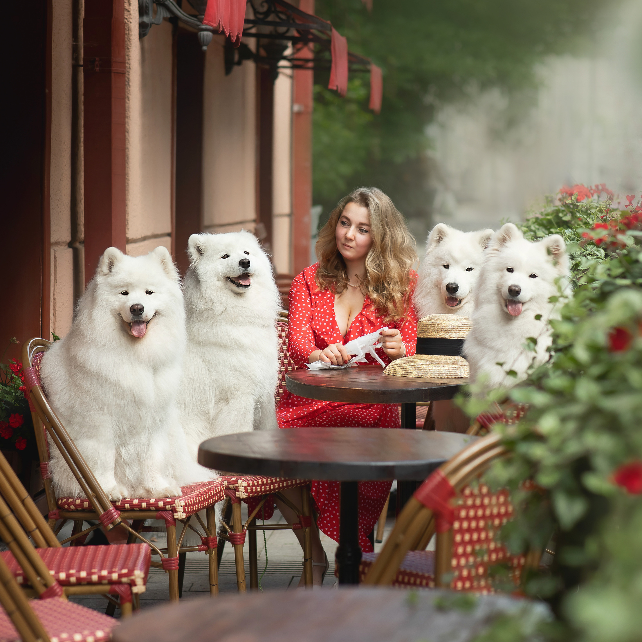 Контакты фотографа анималиста. Фотограф анималист в Москве Майорова Евгения
