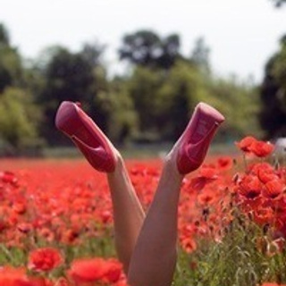 Отзывы о свадебном фотографе. Свадебный фотограф в Белгороде Косилов Денис