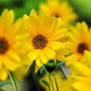 Отзывы. Фотограф широкого профиля Чита-Цасучей