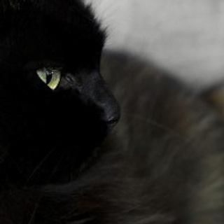 Отзыв фотографу