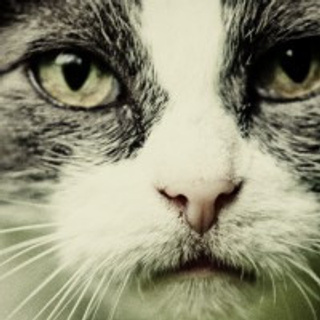 Отзыв фотографу