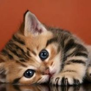 Отзывы. Ведущий, Тамада, DJ, фото в Перми. Хорошее настроение