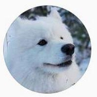 Отзывы. Фотограф Анна Тюрина