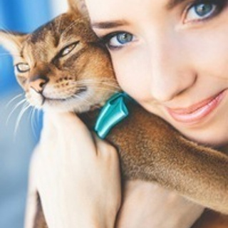 Отзывы клиентов. Свадебный и семейный Фотограф Денис Кошель